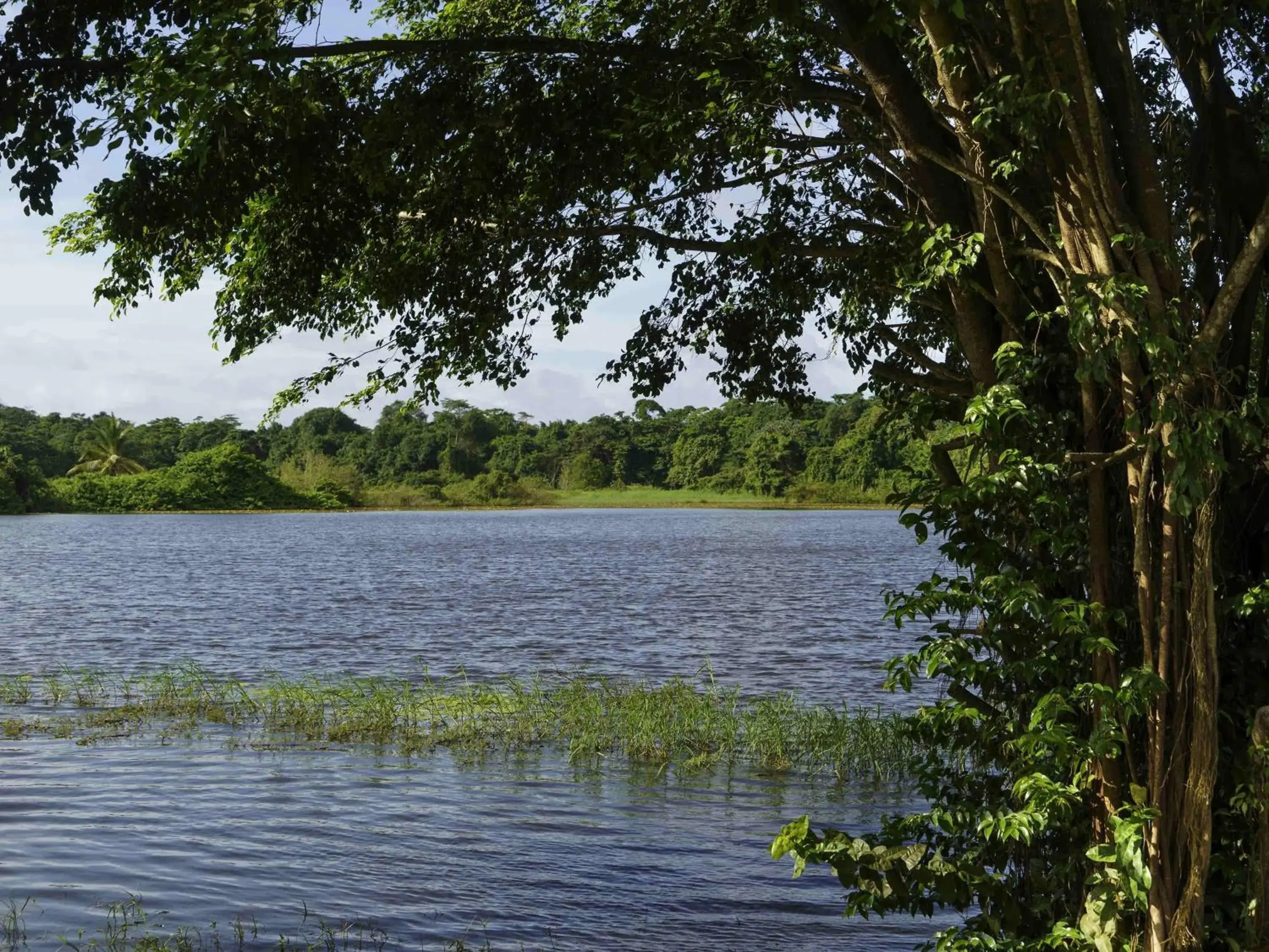 Other in Hotel Mercure Kourou Ariatel Other in Hotel Mercure Kourou Ariatel