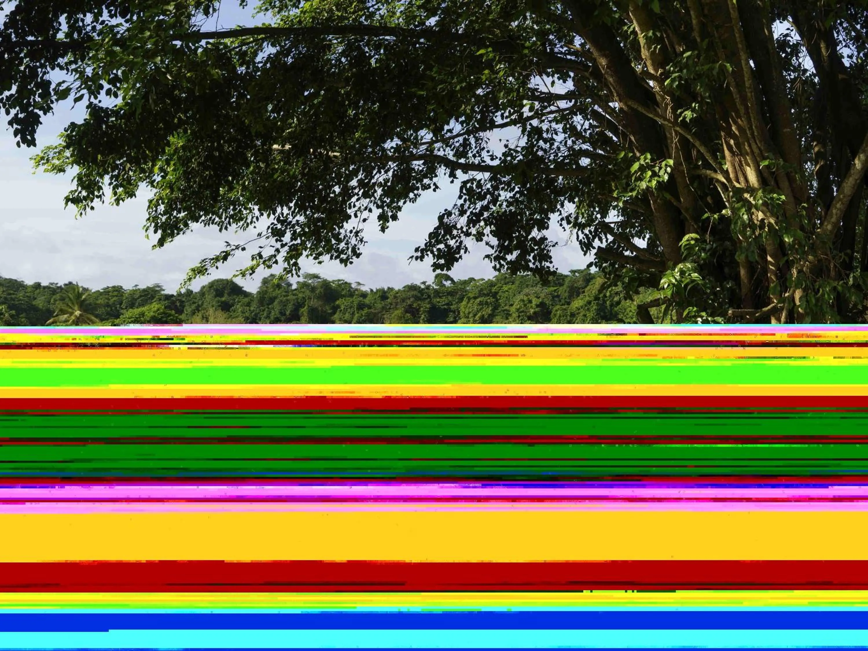 Other in Hotel Mercure Kourou Ariatel