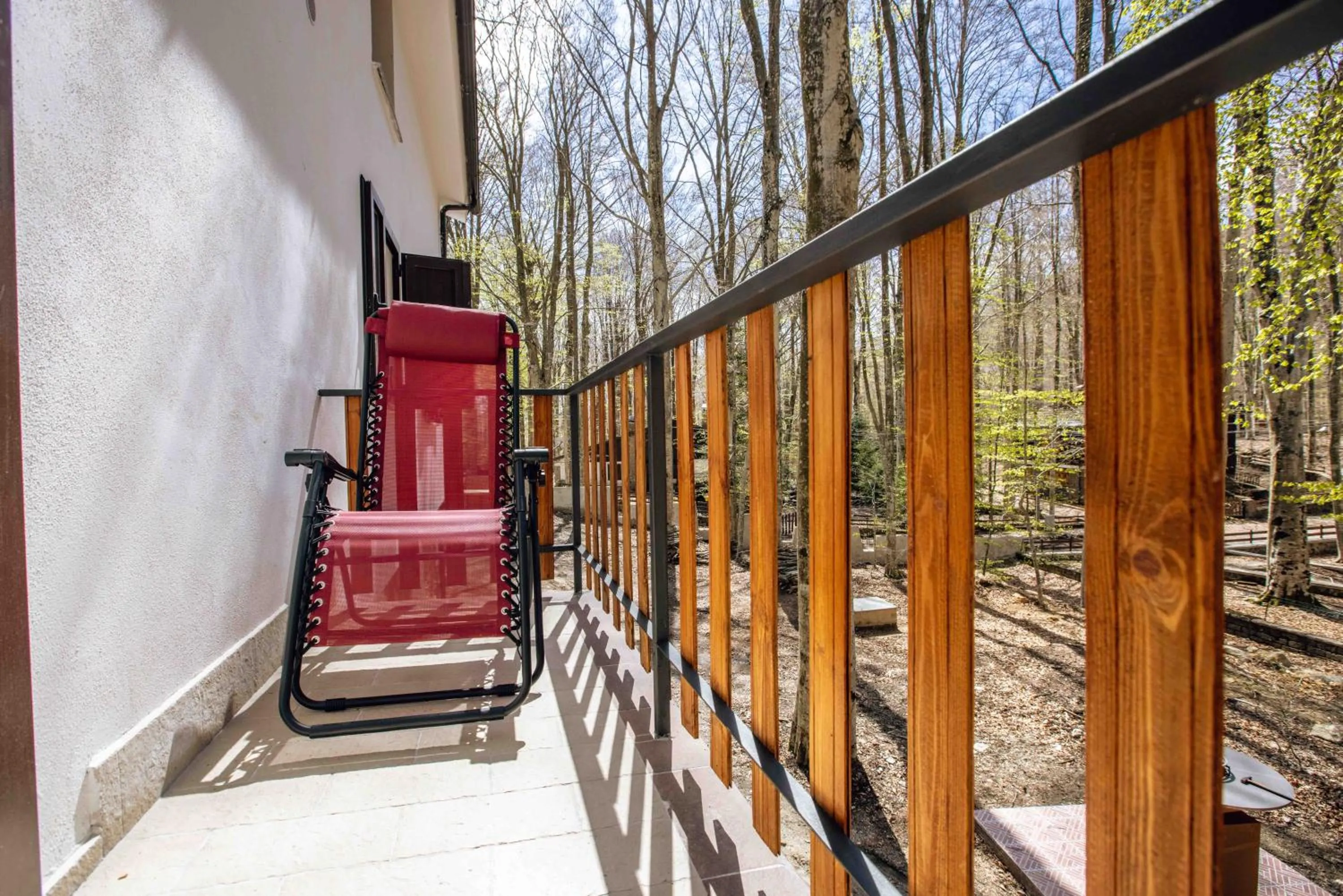 La Corteccia del Faggio