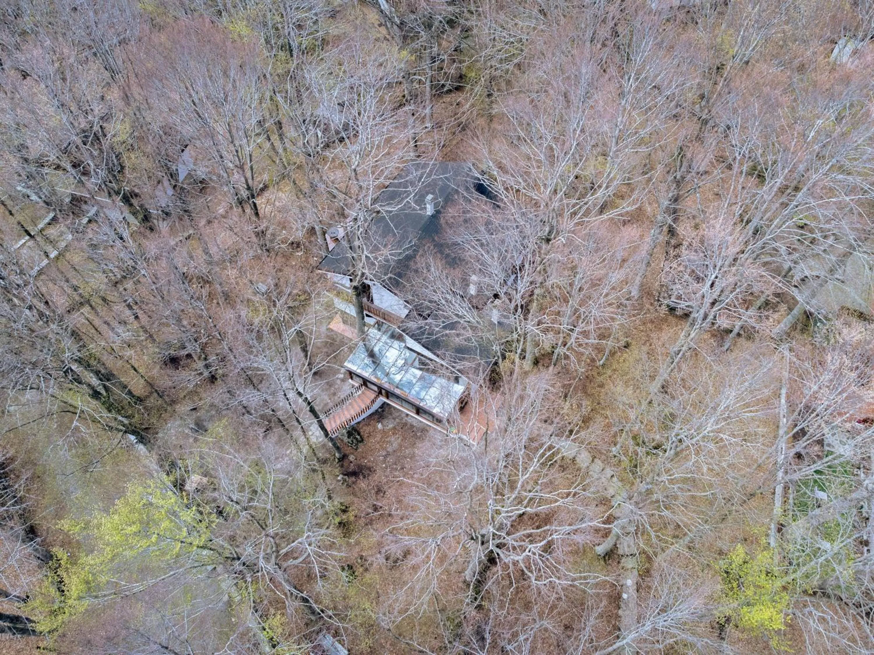 Inner courtyard view, Natural Landscape in La Corteccia del Faggio