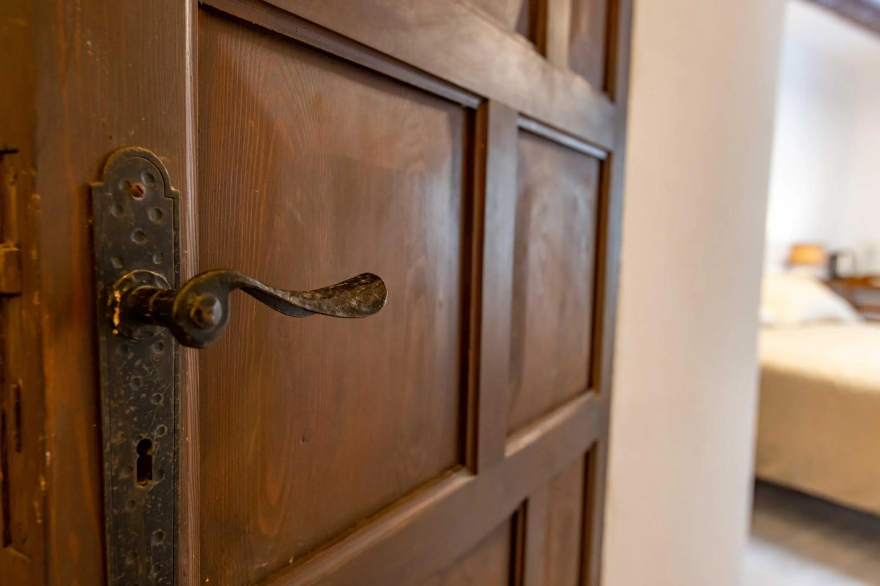 La Corteccia del Faggio