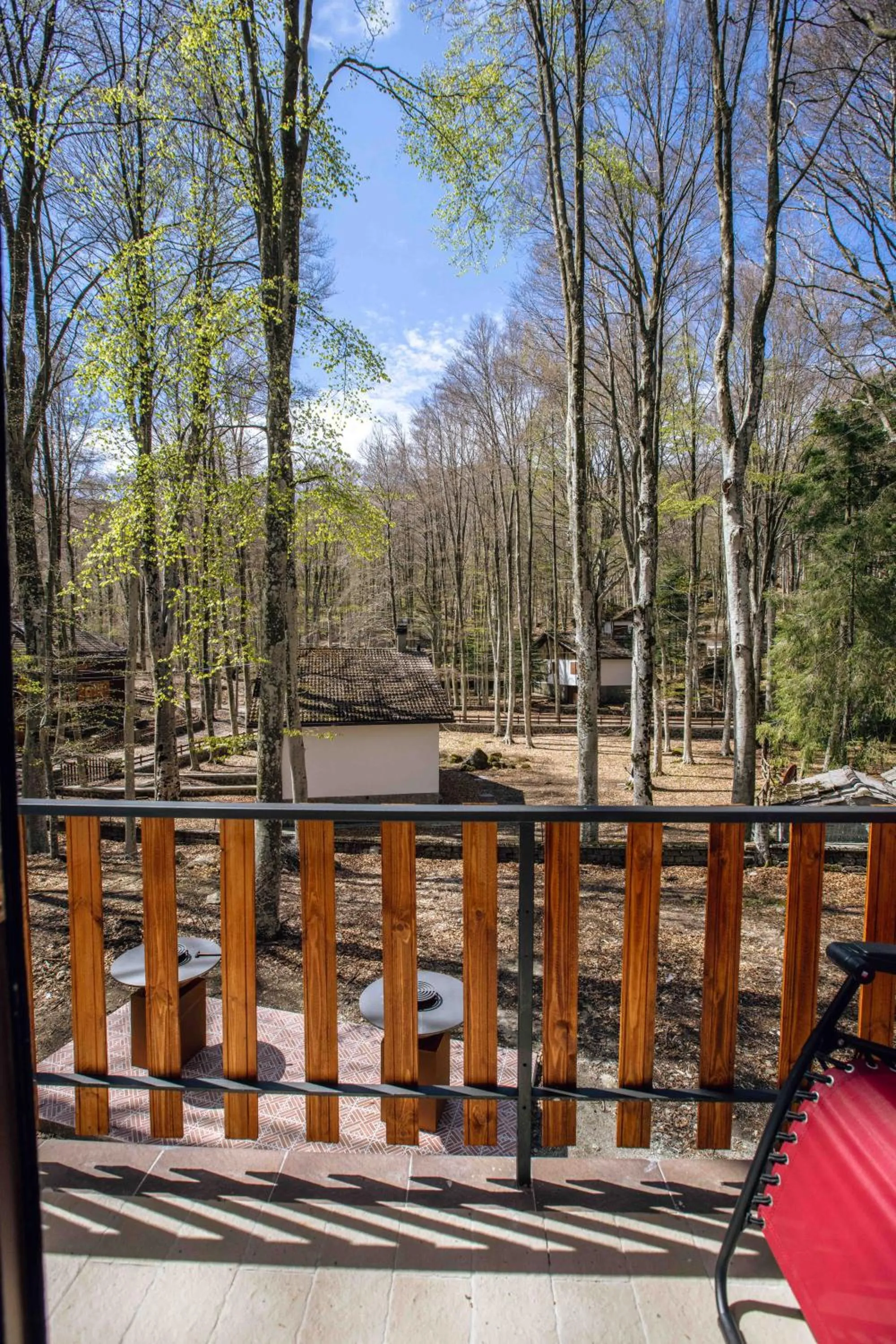 La Corteccia del Faggio