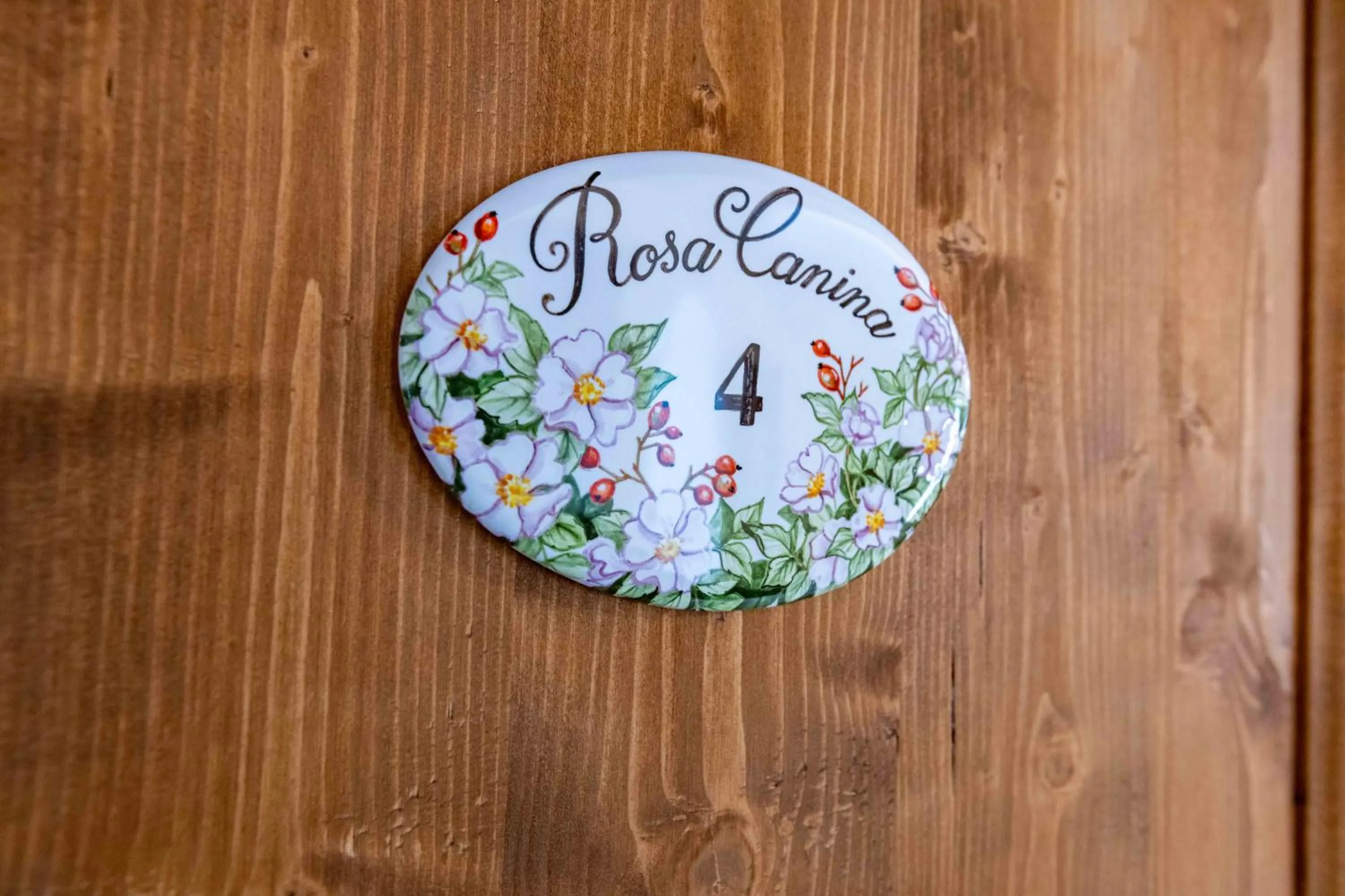 La Corteccia del Faggio