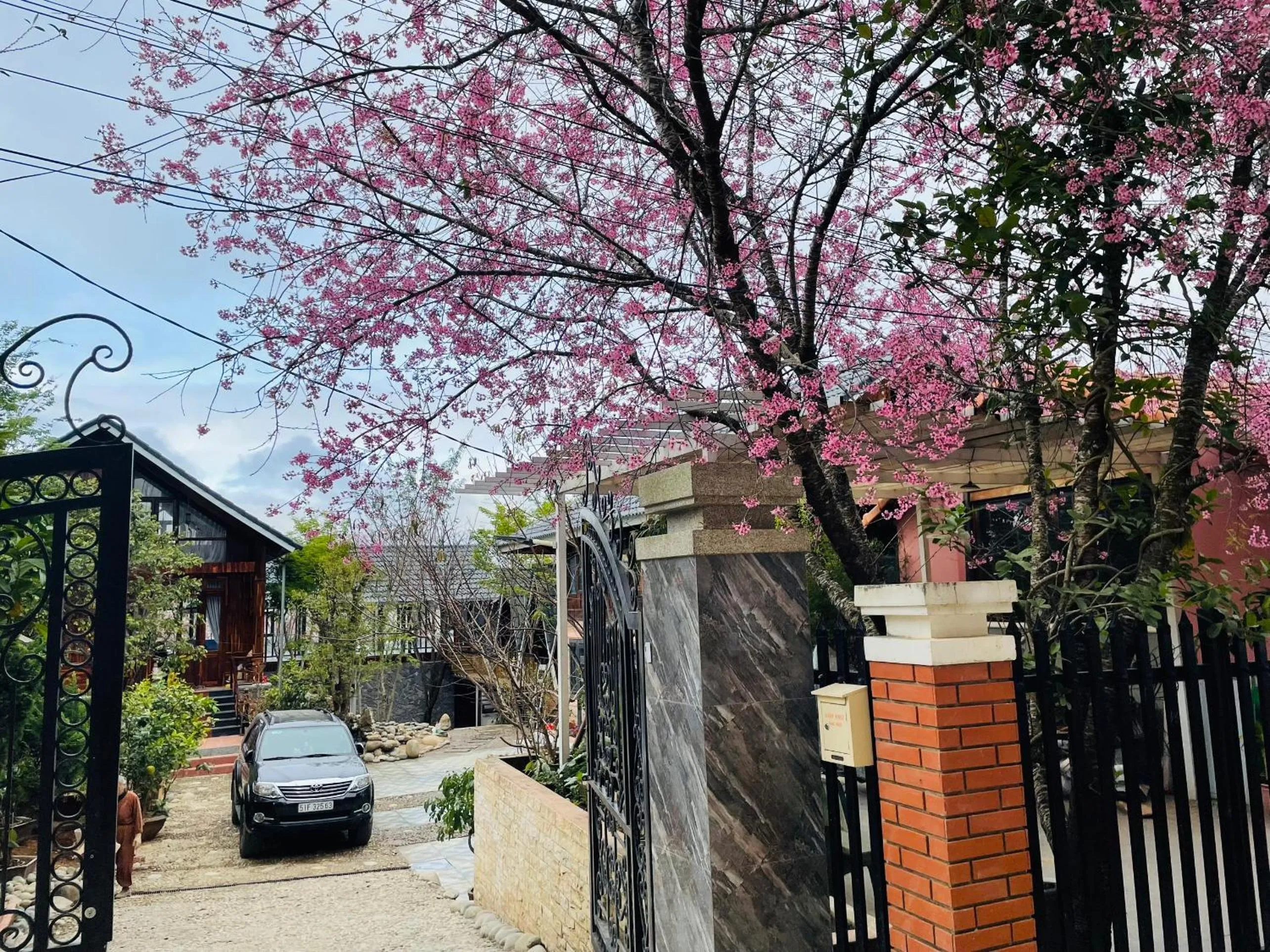 Garden in Ngọc Đông Phương Villa Home