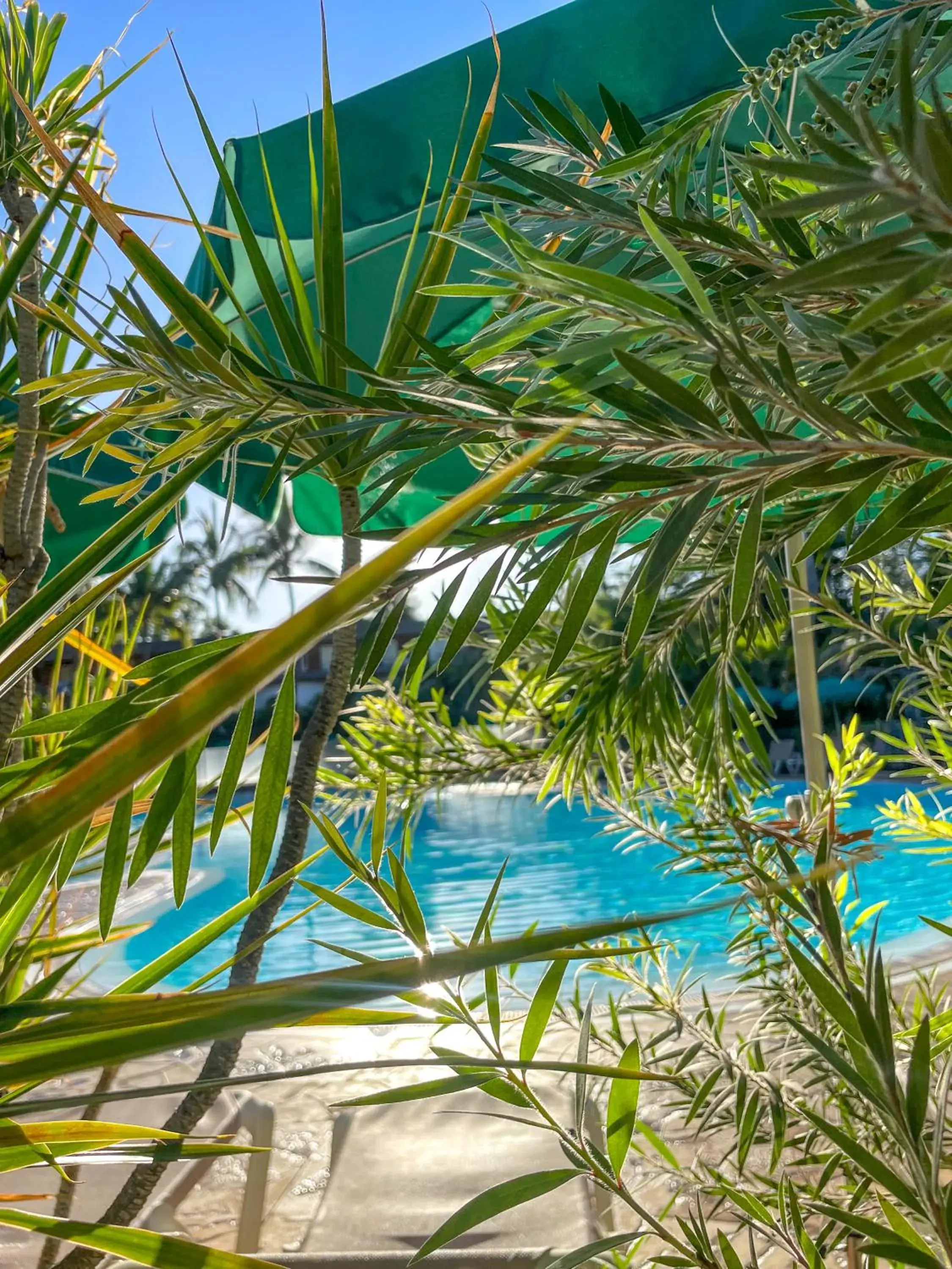 Swimming pool in Relais de l’Hermitage Saint-Gilles Swimming pool in Relais de l’Hermitage Saint-Gilles