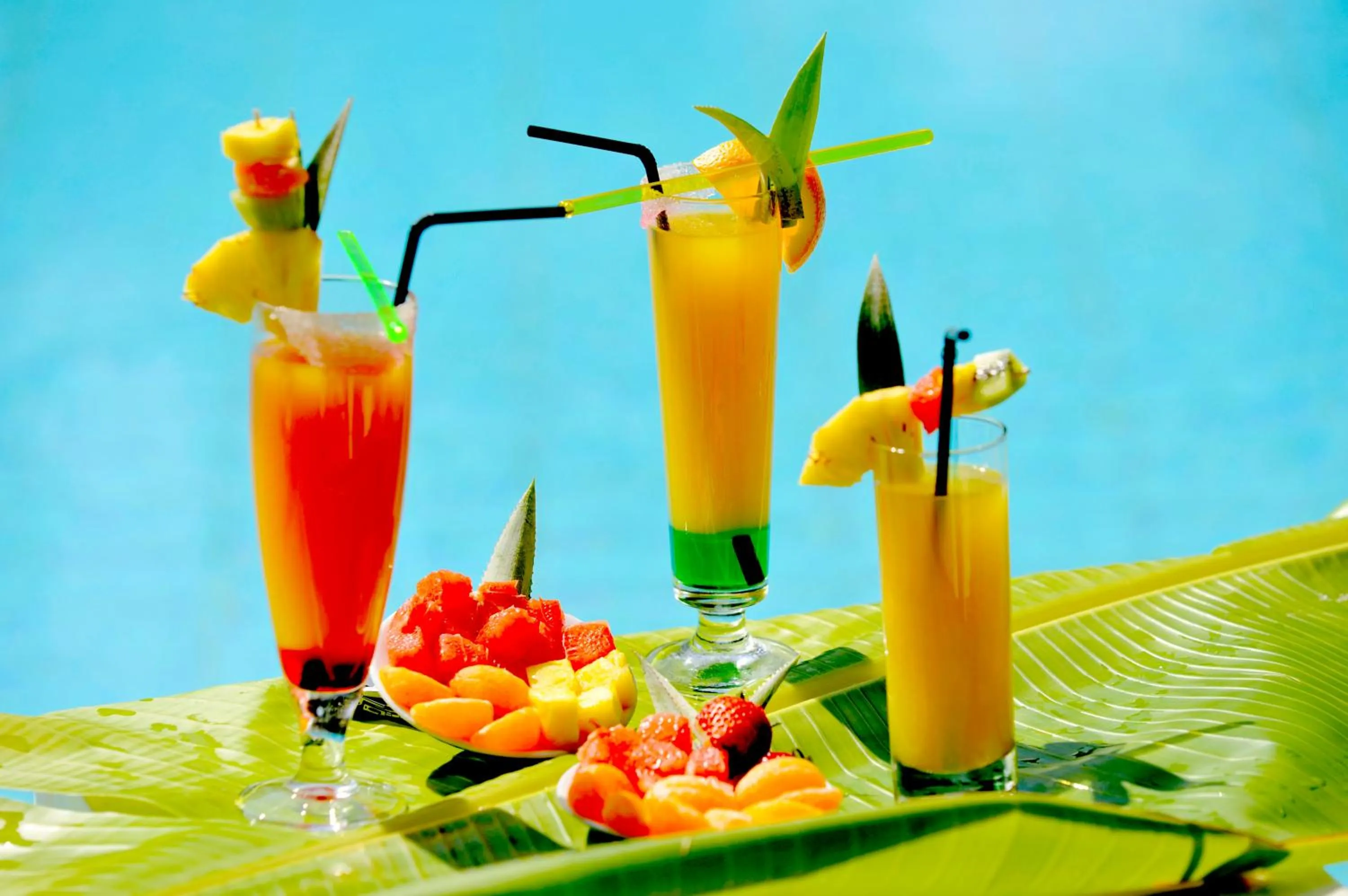 Alcoholic drinks in Relais de l’Hermitage Saint-Gilles