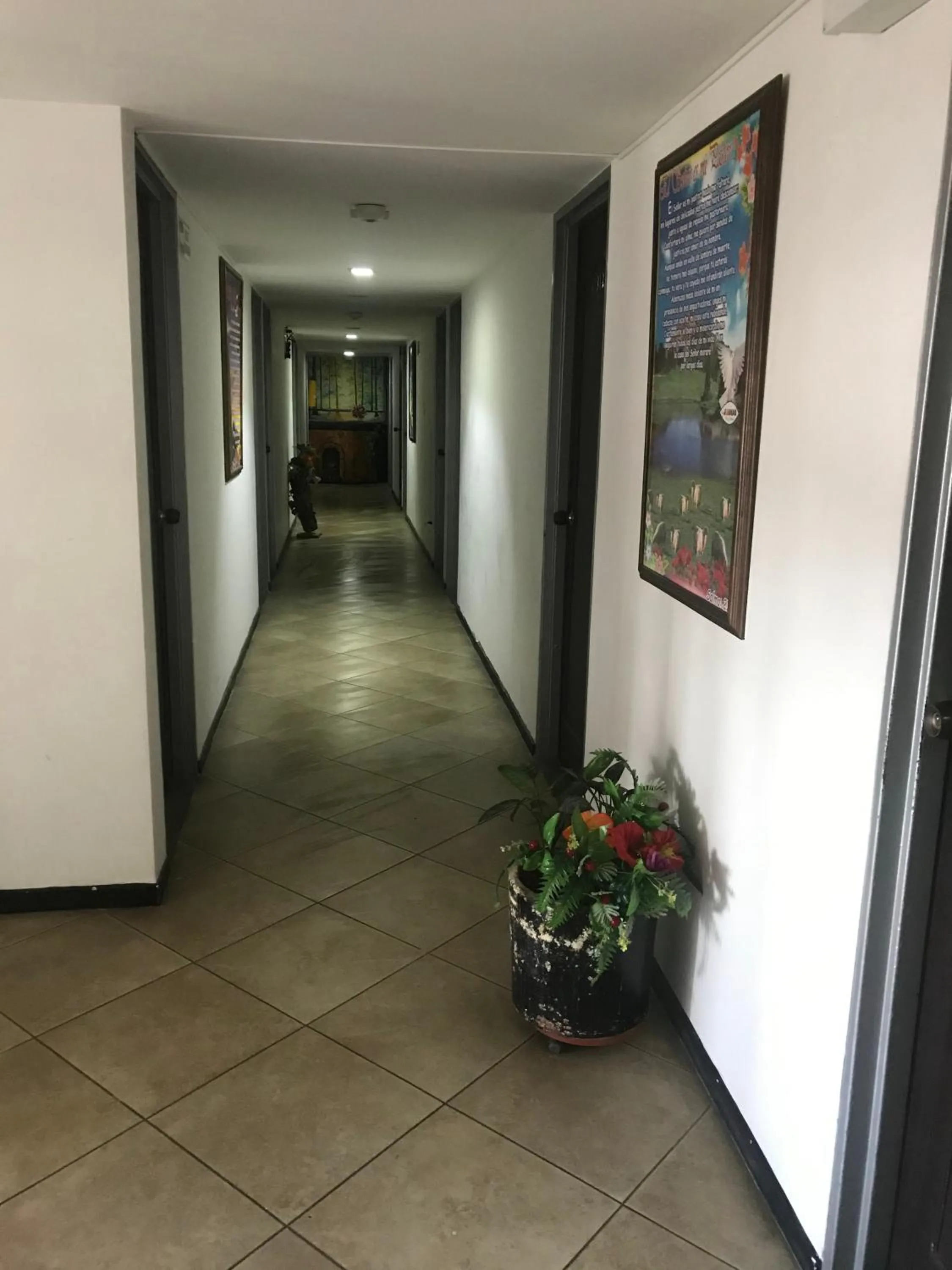 Twin Room - single occupancy in Hotel Bolivariano