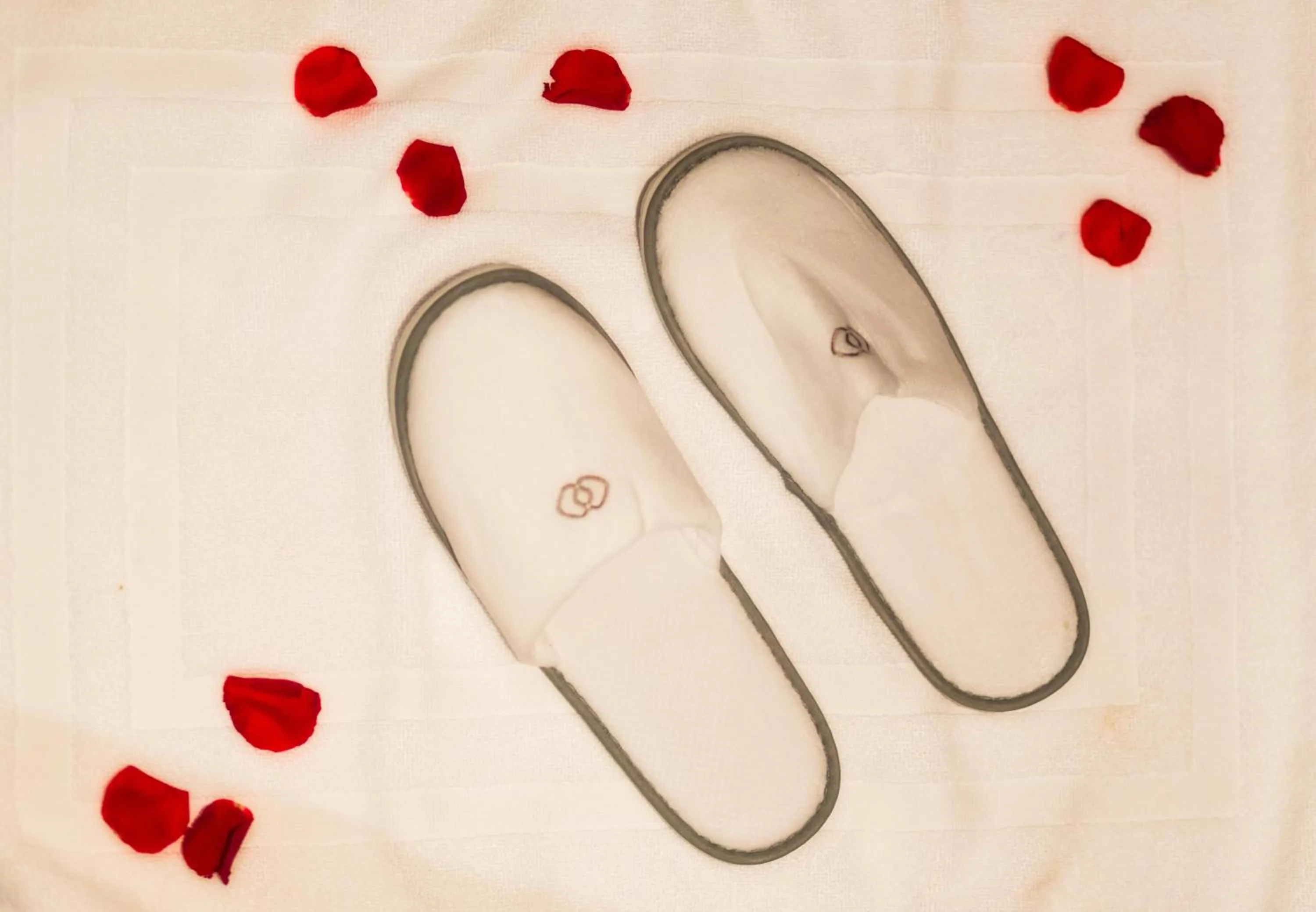 Sofitel Algiers Hamma Garden