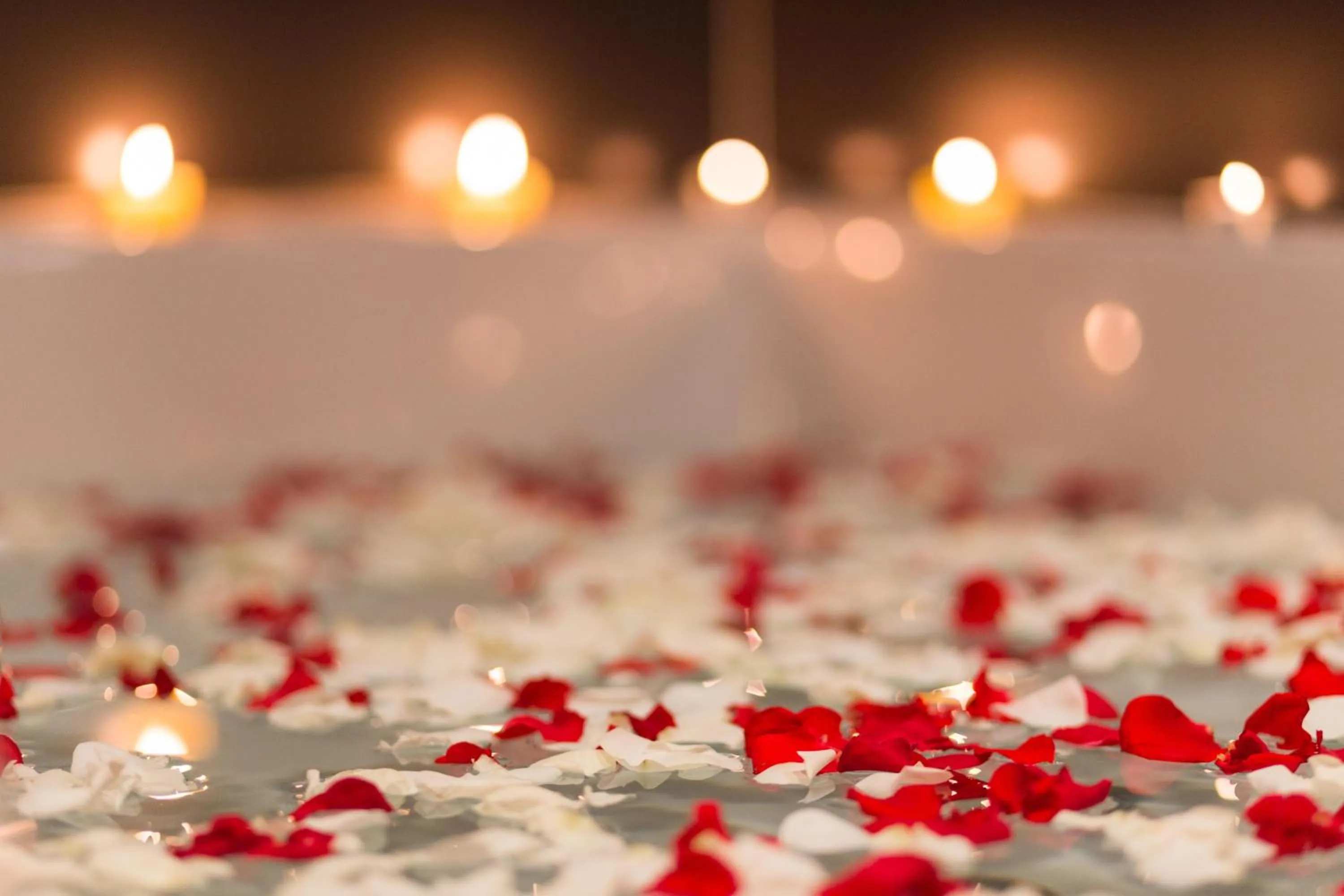 Sofitel Algiers Hamma Garden