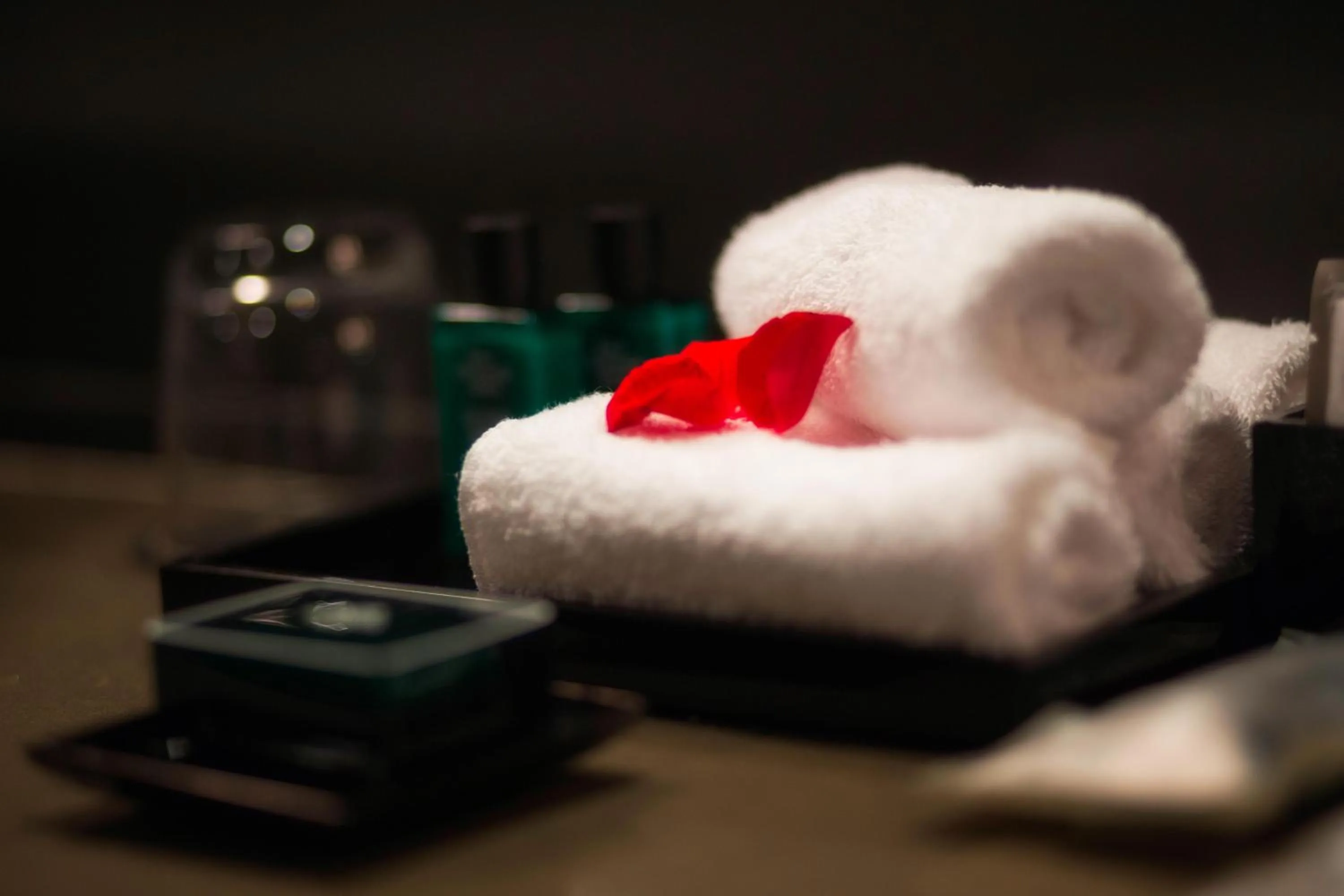 Sofitel Algiers Hamma Garden