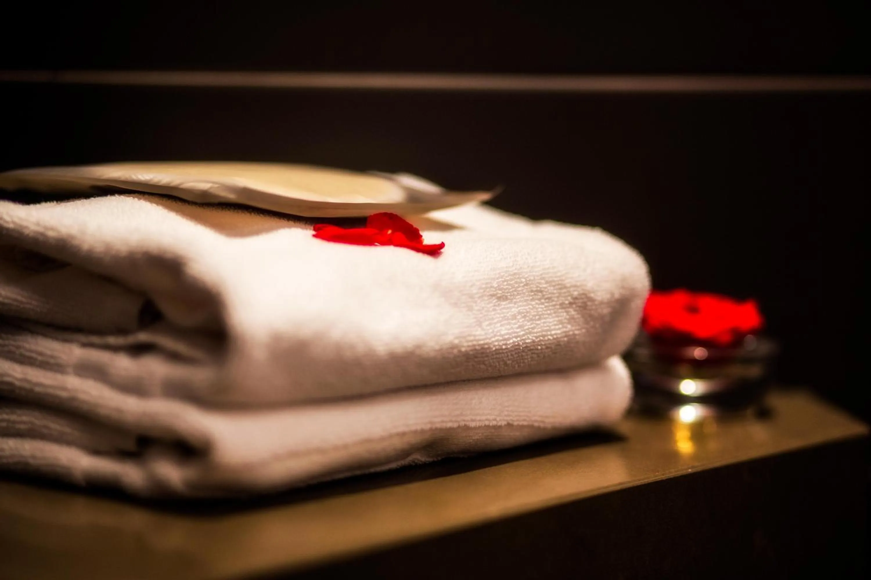 Sofitel Algiers Hamma Garden