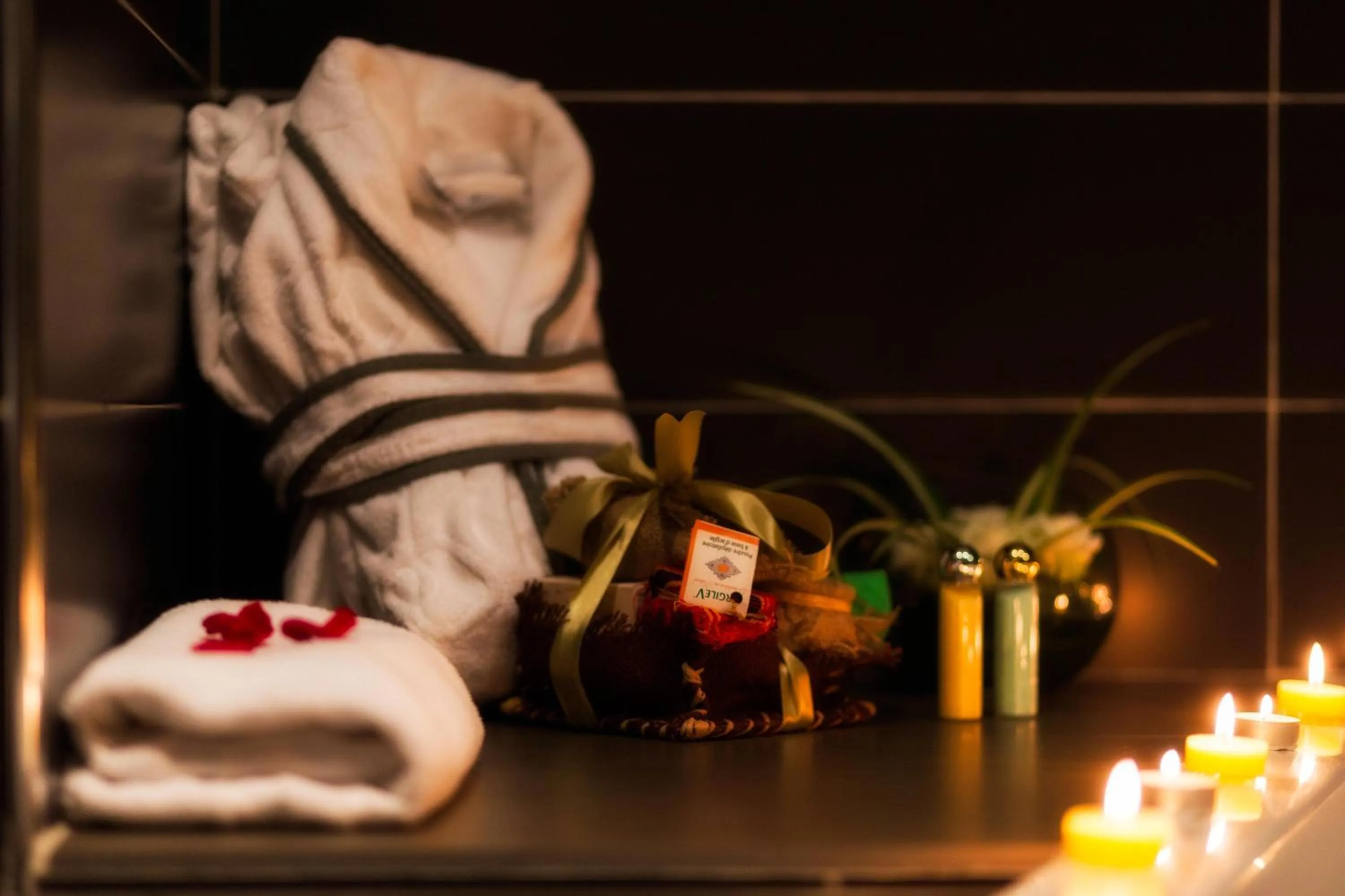 Sofitel Algiers Hamma Garden