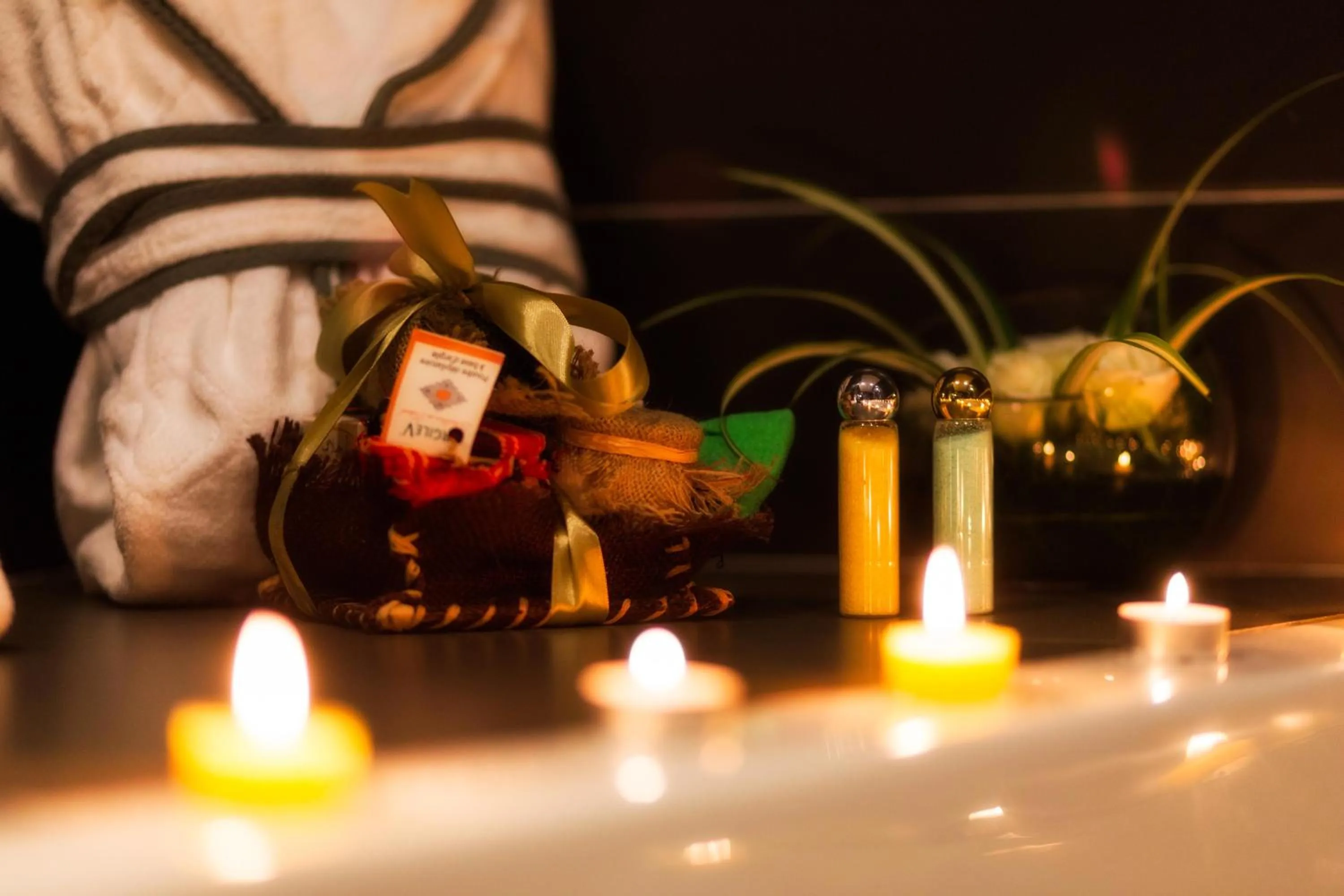 Sofitel Algiers Hamma Garden