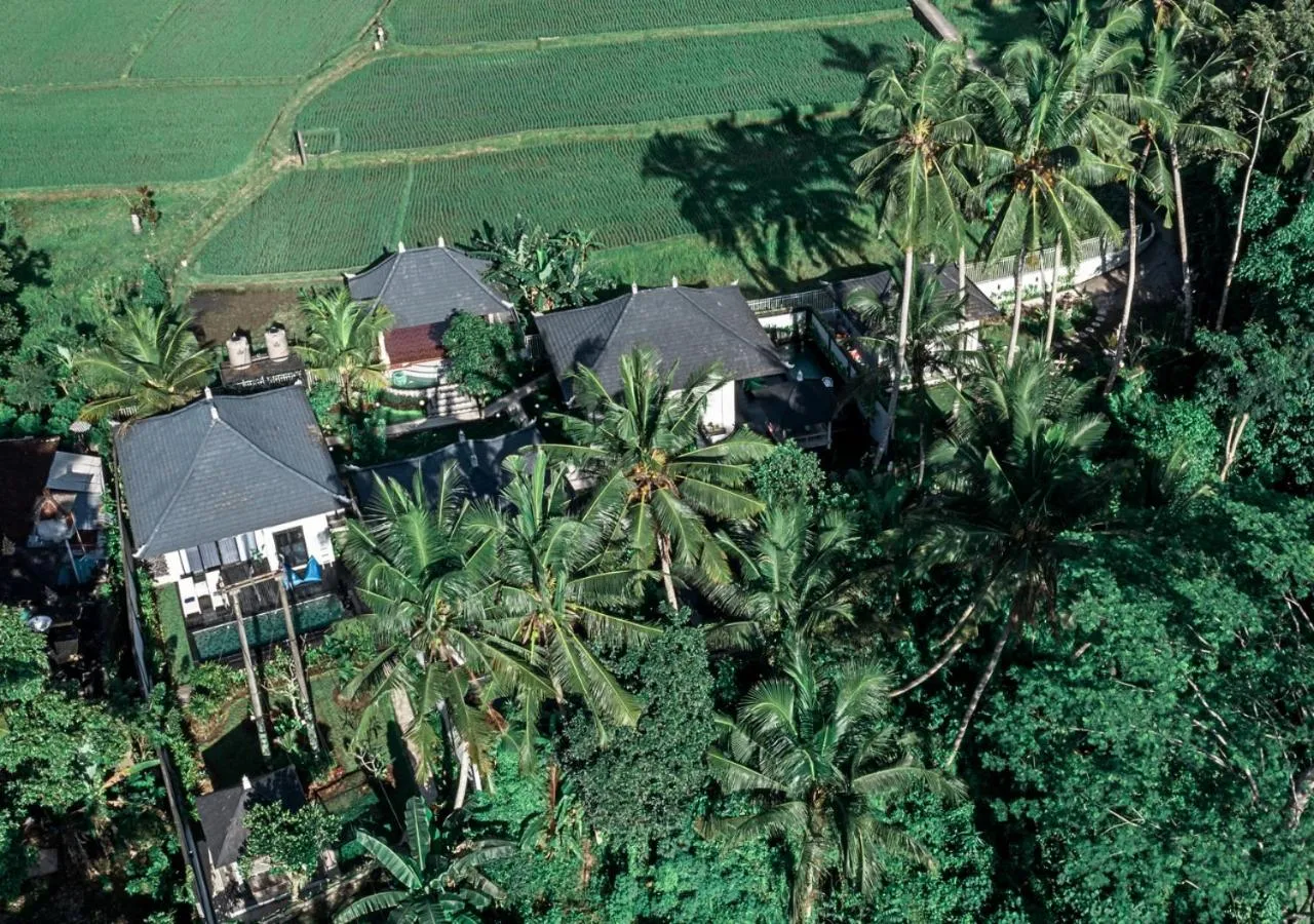 Bird's eye view in Capung Asri Eco Luxury Resort with Private Pool Villas