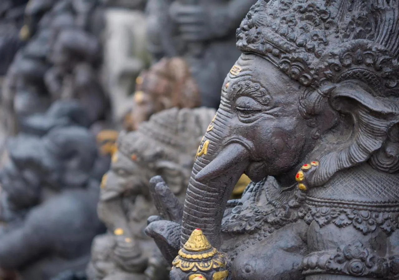 Activities in Capung Asri Eco Luxury Resort with Private Pool Villas