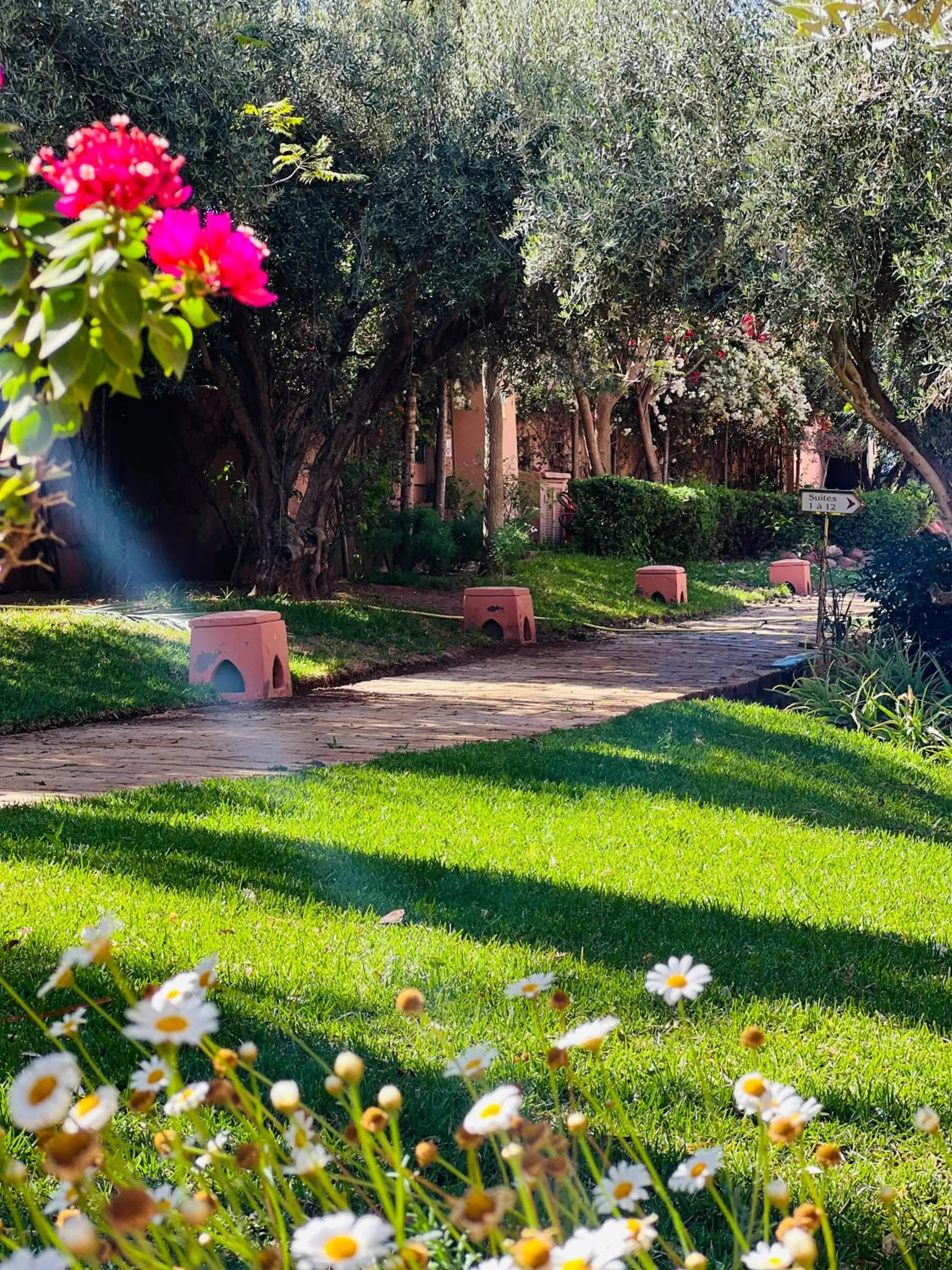 Garden in Pavillon du Golf - Palmeraie suites