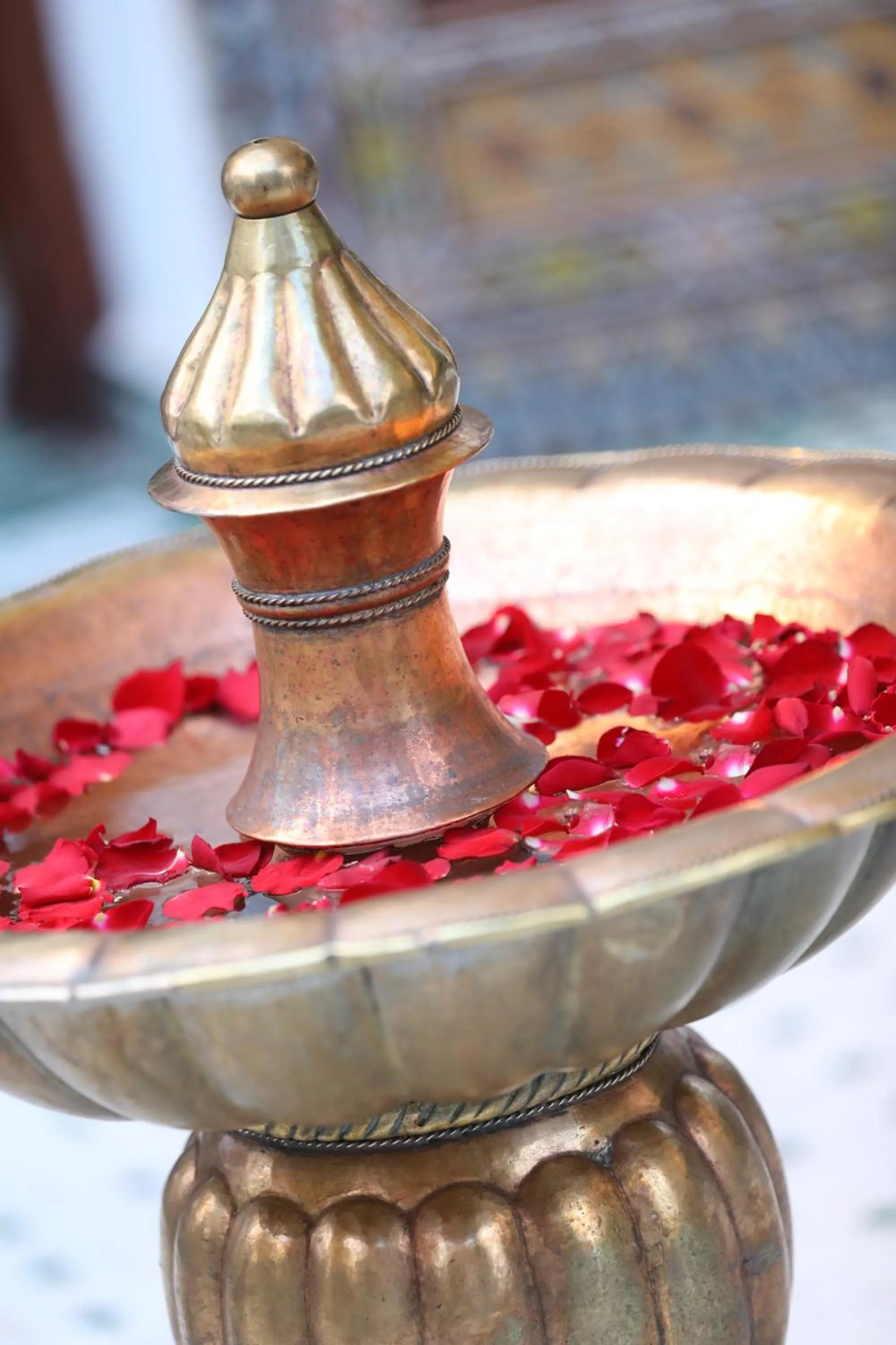 Garden in Pavillon du Golf - Palmeraie suites