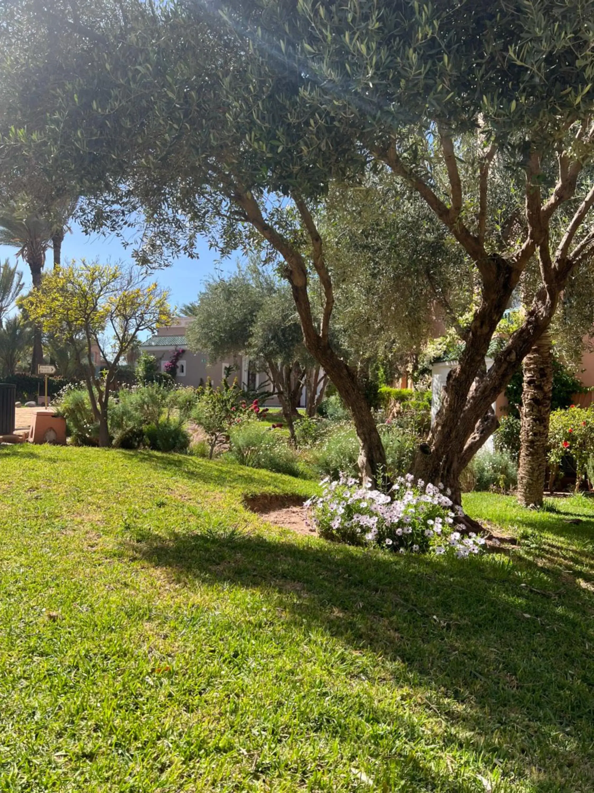 Garden view, Garden in Pavillon du Golf -Palmeraie suites