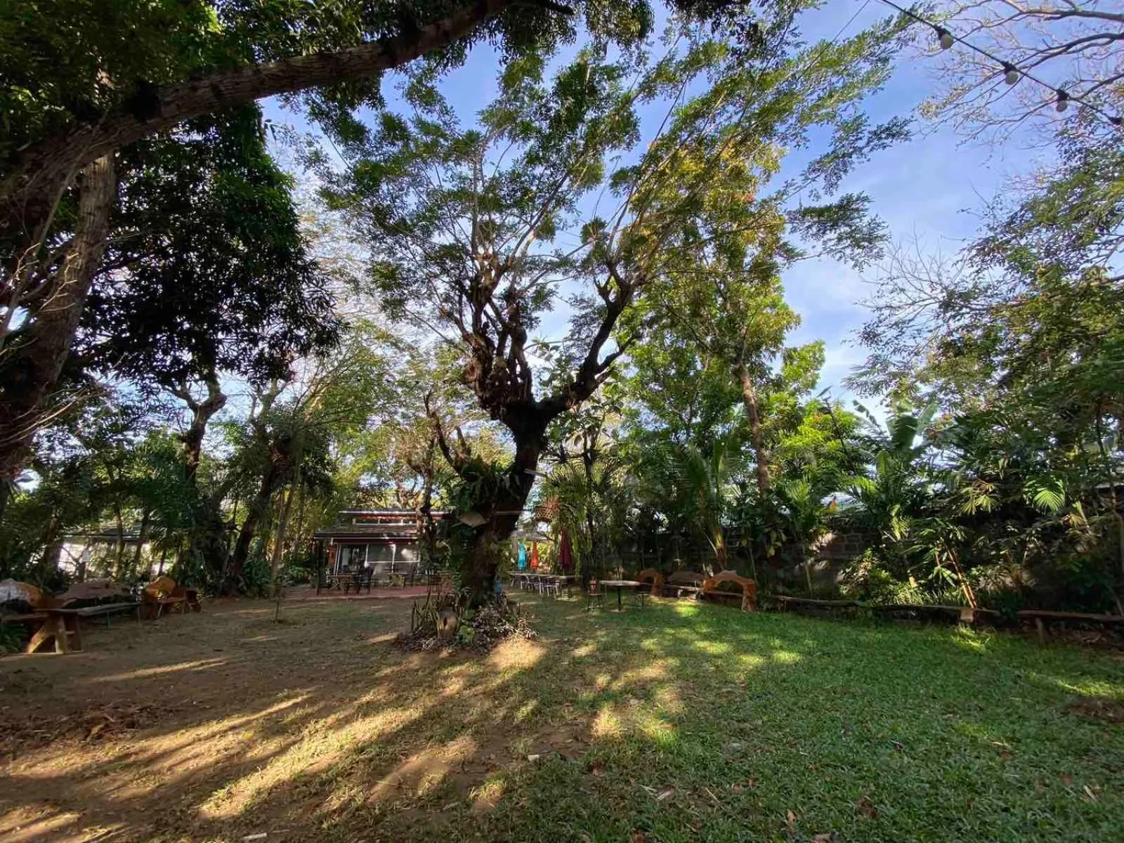 Garden in Rio Vista Bed and Breakfast