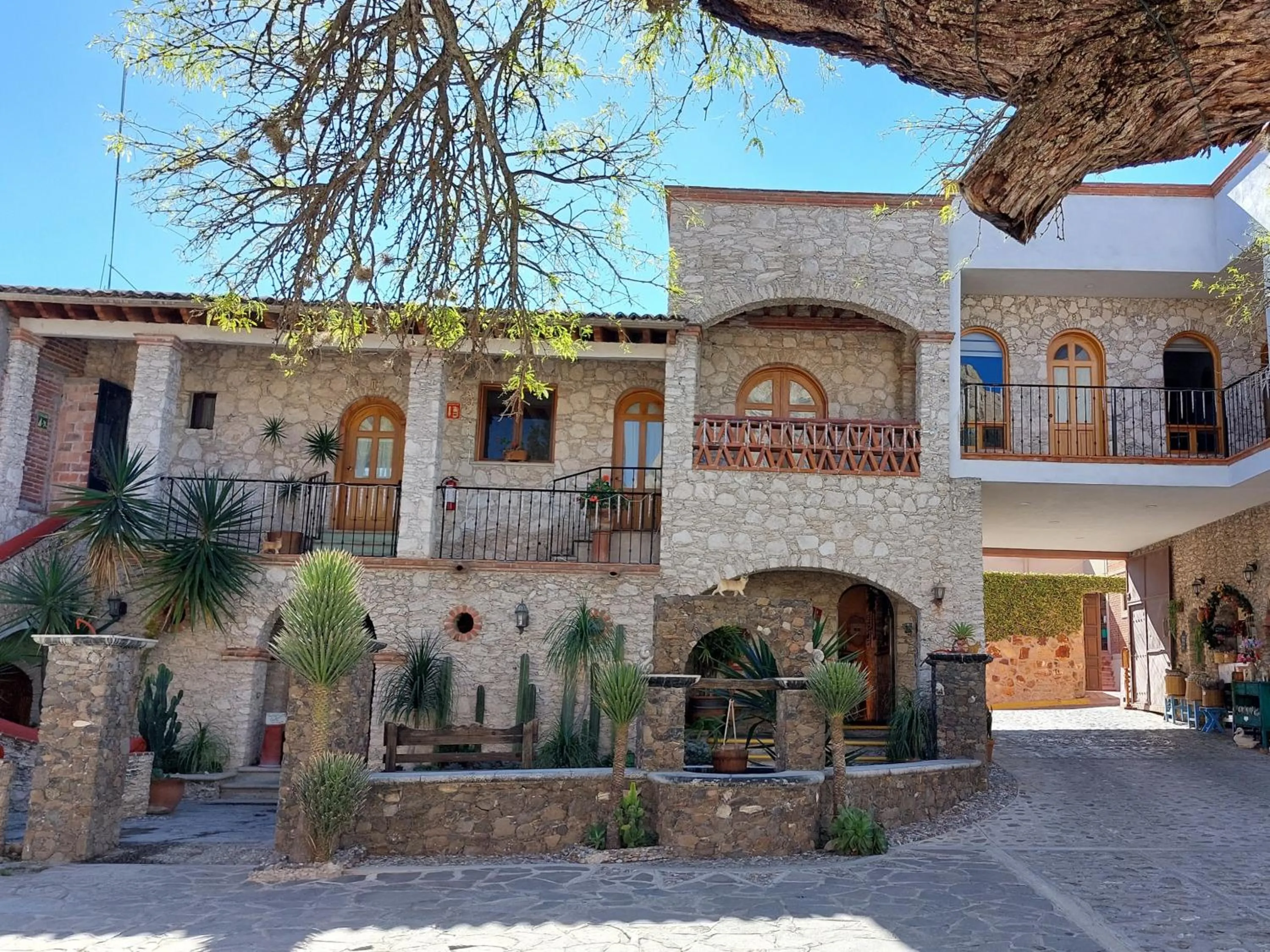 Hotel Casa Caro