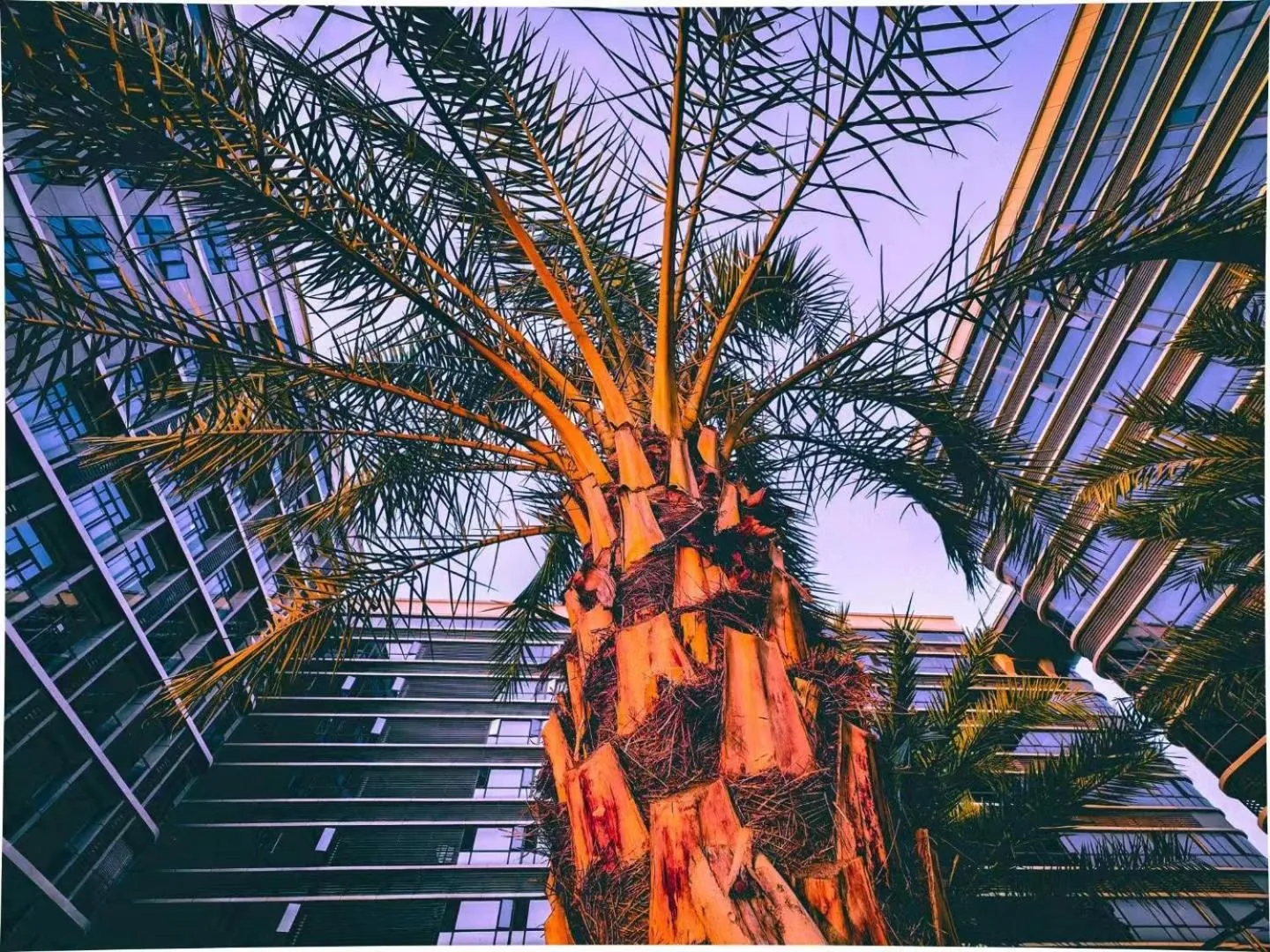 Garden in Guangzhou Baiyun Airport MeHood Liz Hotel Free Shuttle Bus to Airport