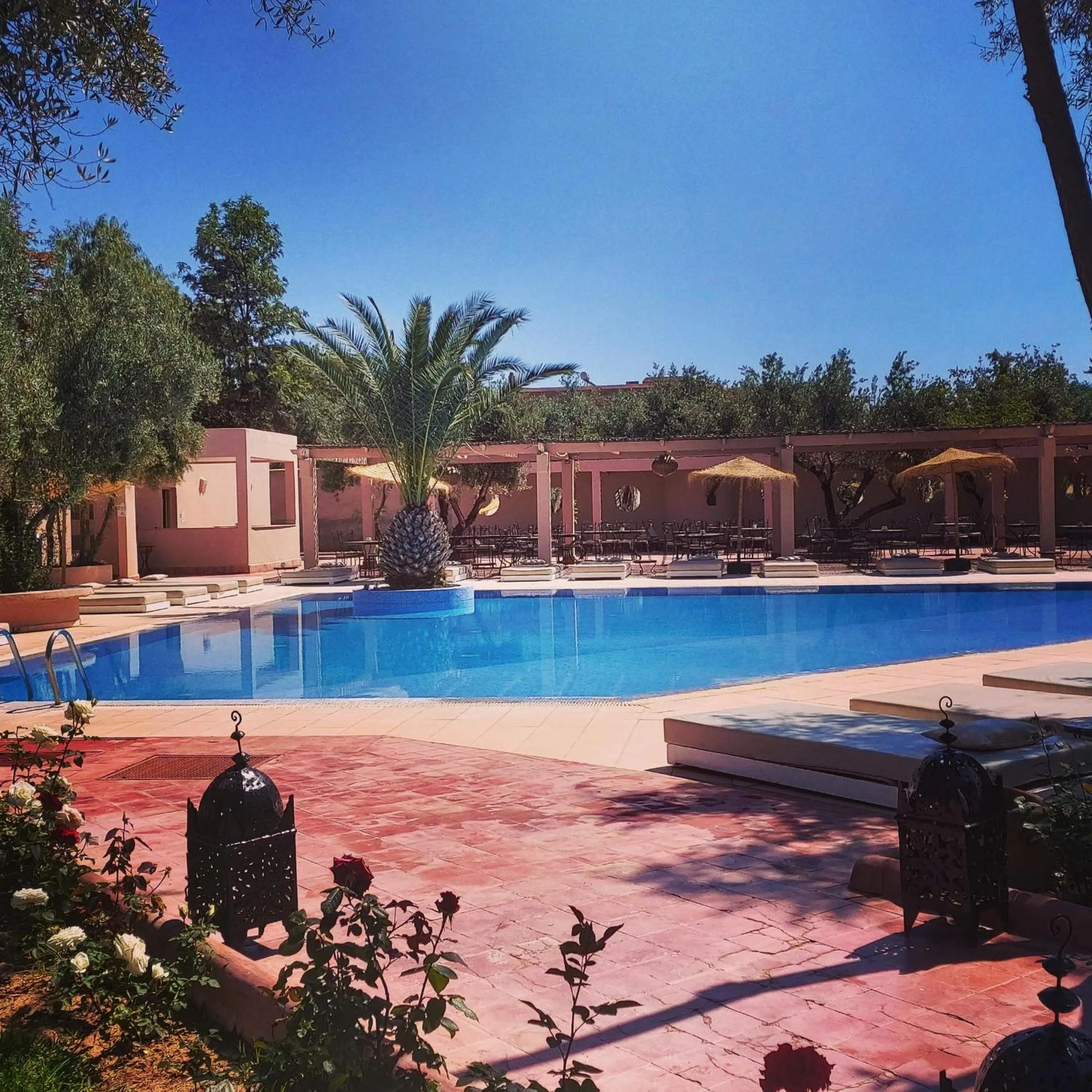 Swimming pool in La Maison Des Oliviers