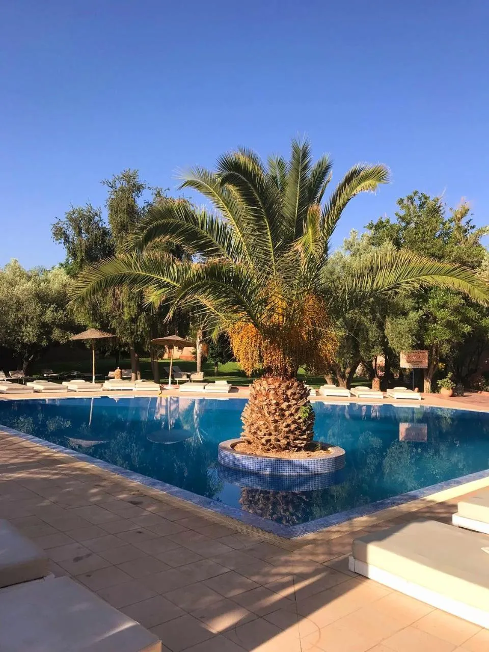 Swimming pool in La Maison Des Oliviers