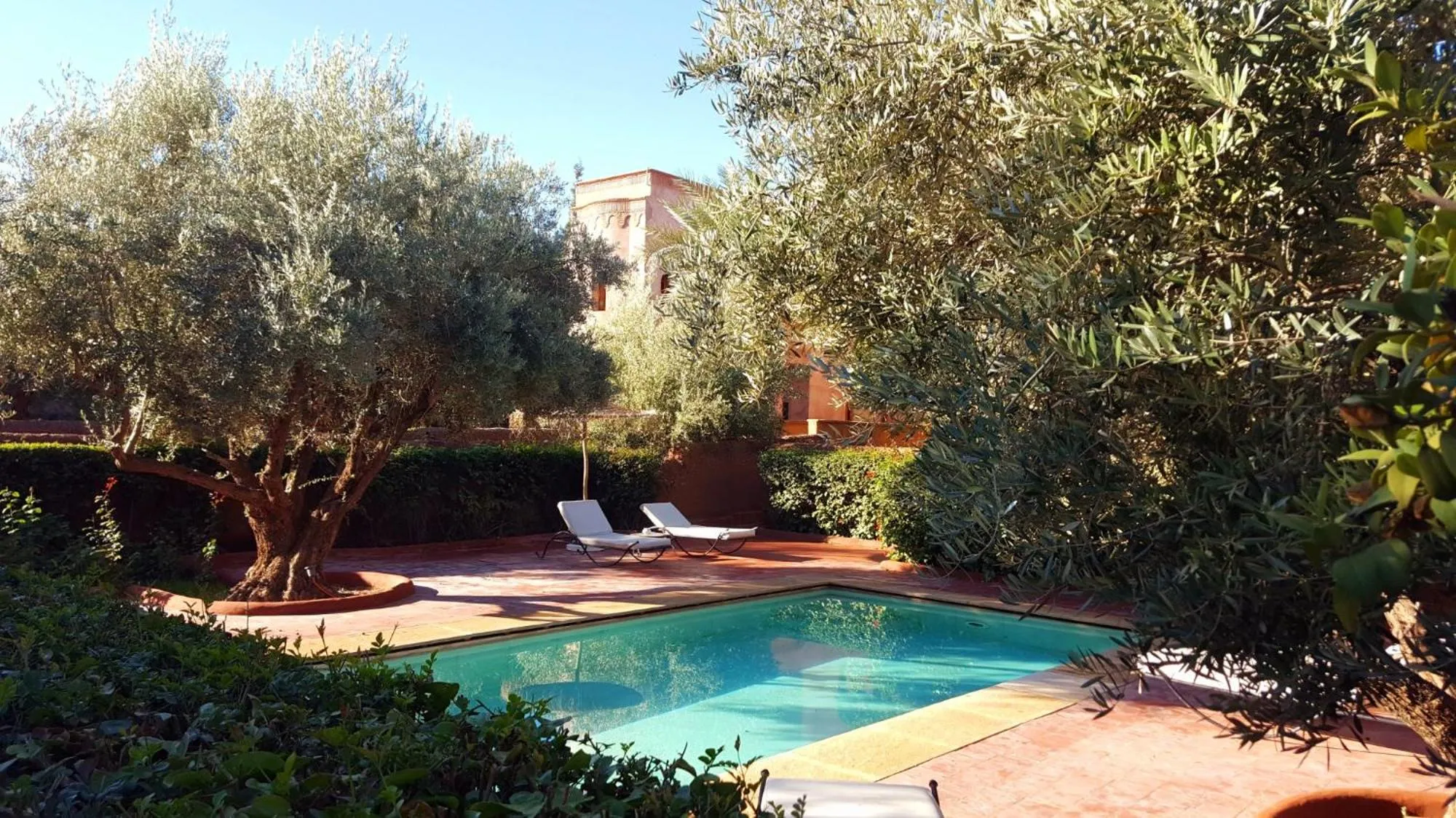 Swimming pool in La Maison Des Oliviers