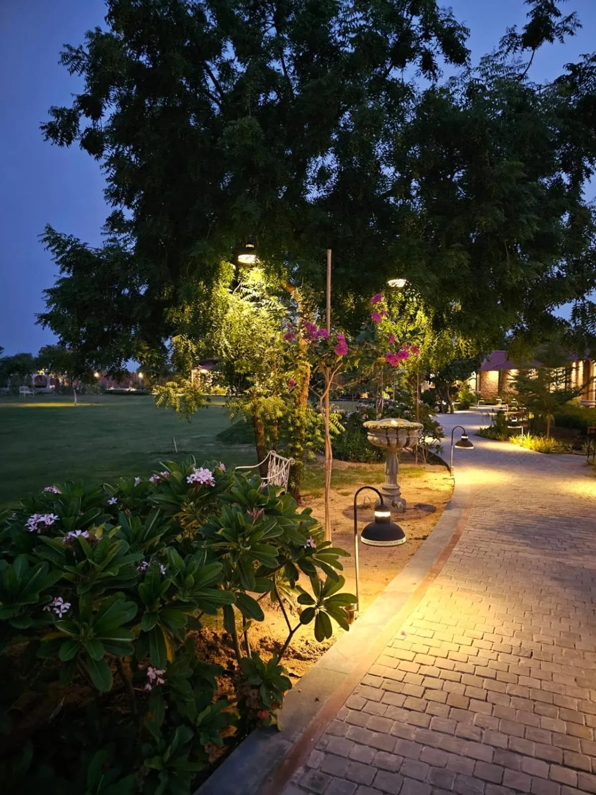 Garden in Surpura Bagh