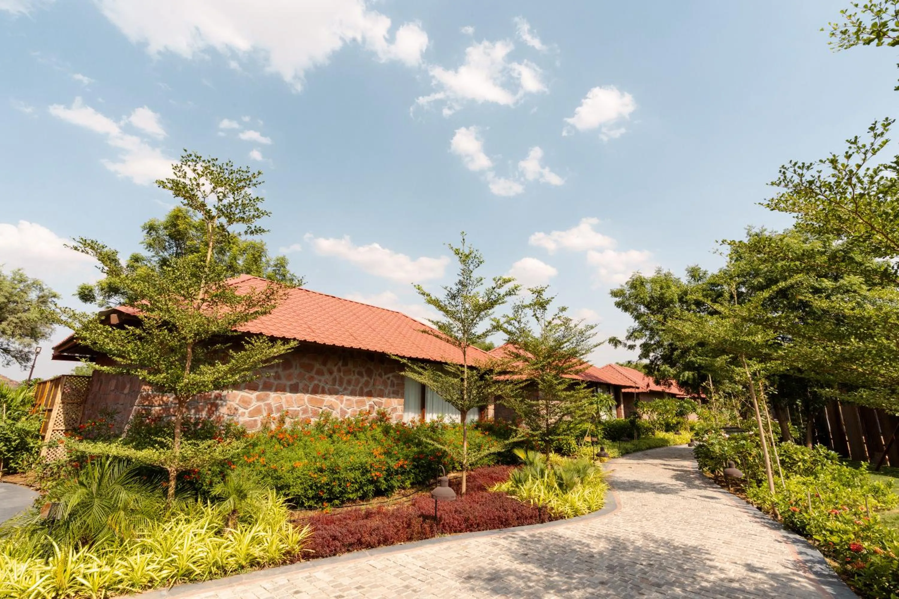 Spring in Surpura Bagh