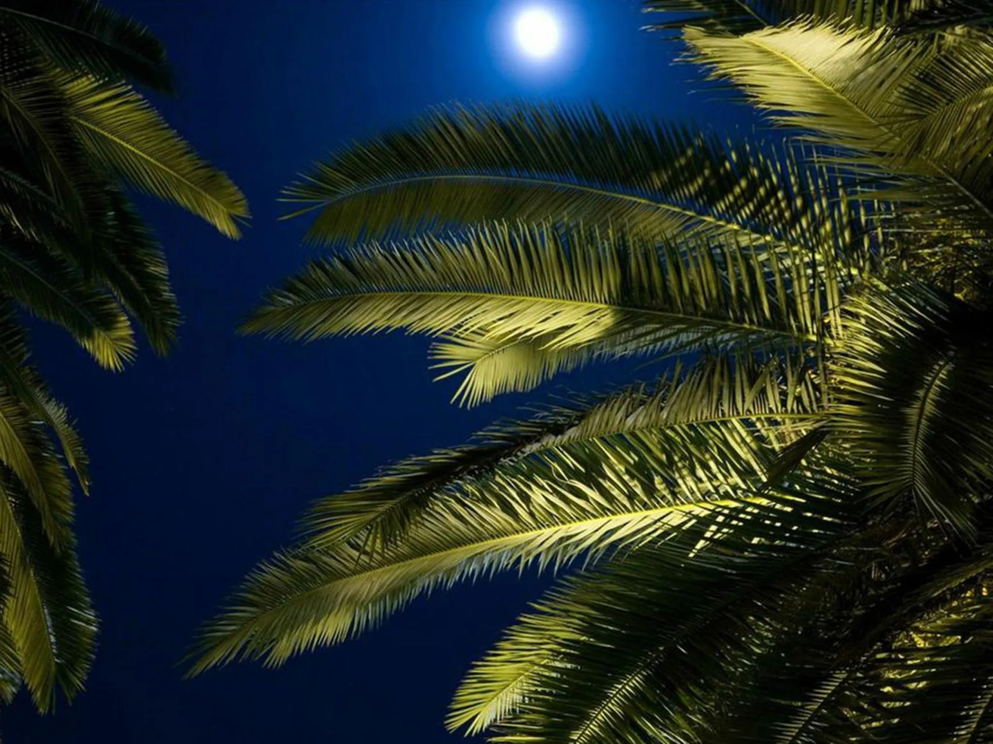 Patio in Palais Shéhérazade & Spa