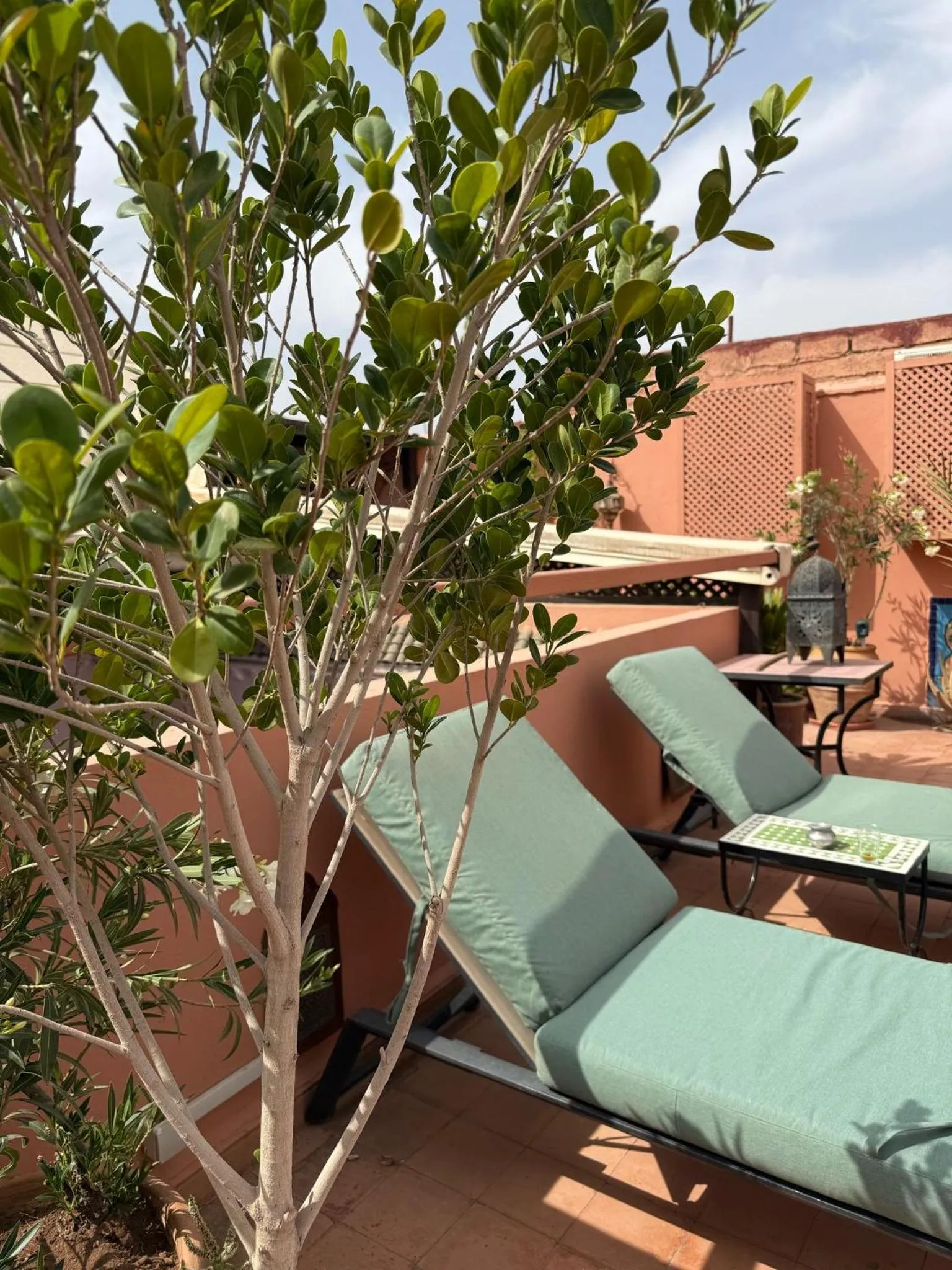 Balcony/Terrace in Riad Lauriers Blancs