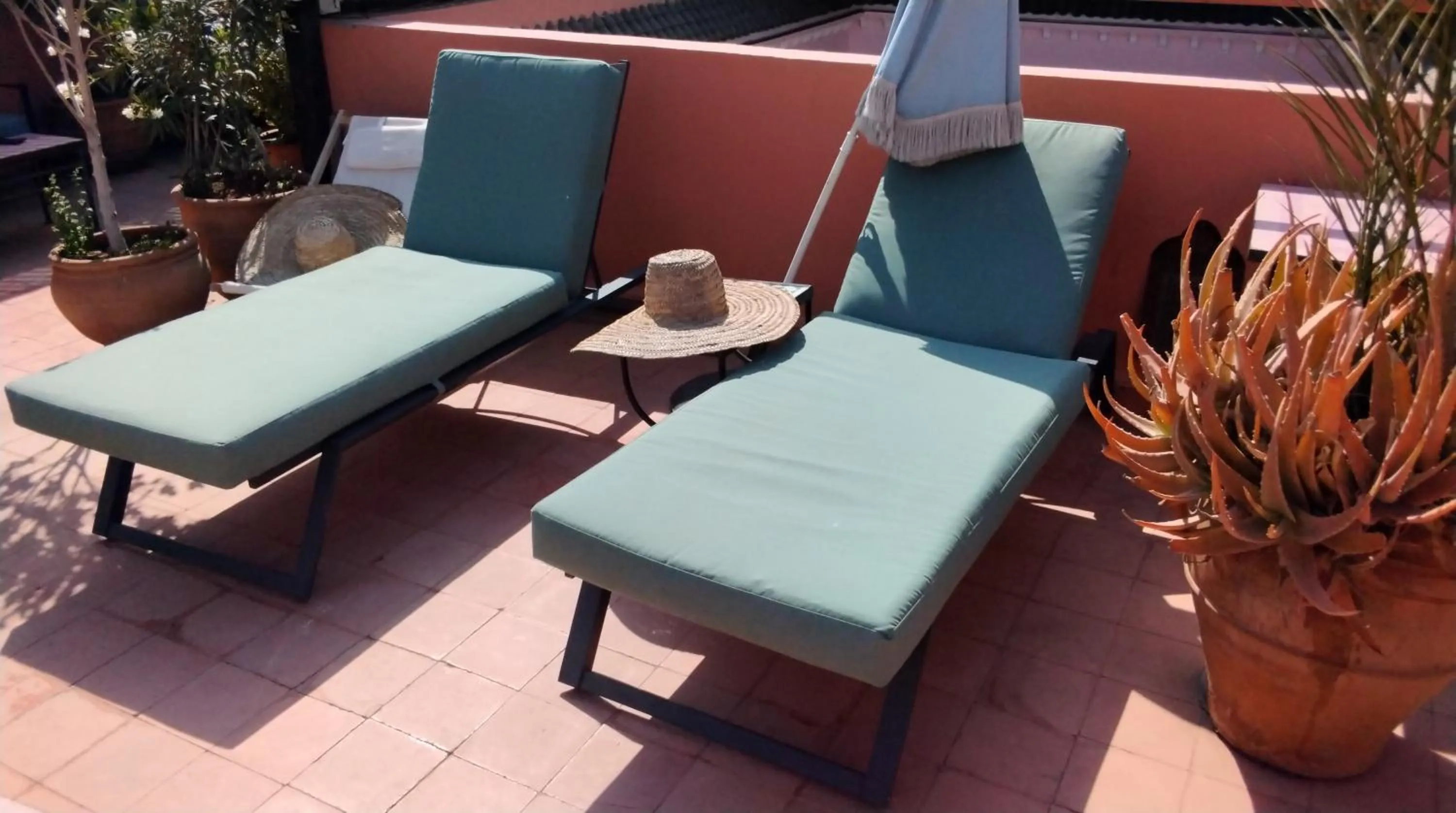 Balcony/Terrace in Riad Lauriers Blancs