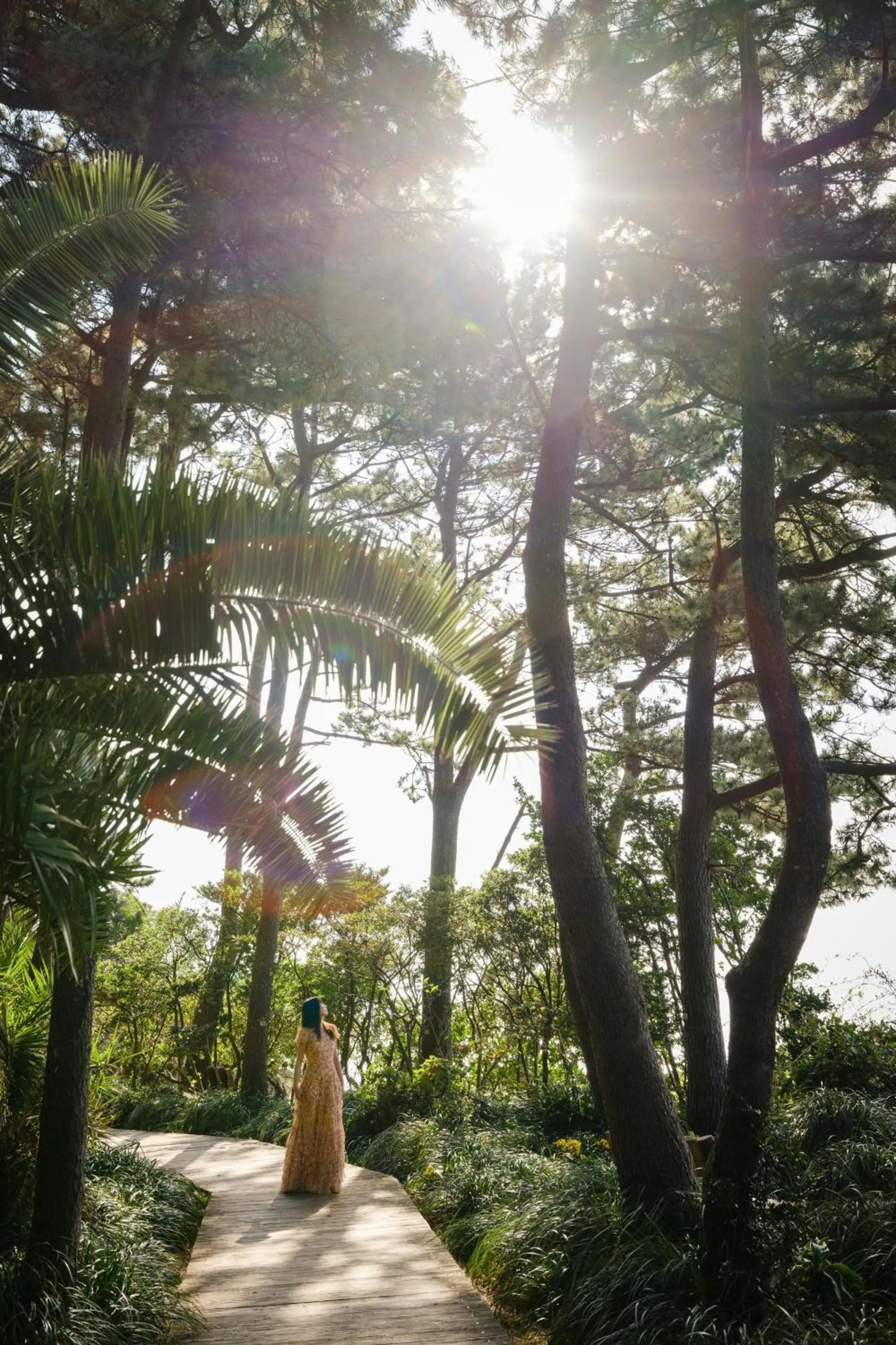 Other in JW Marriott Jeju Resort & Spa