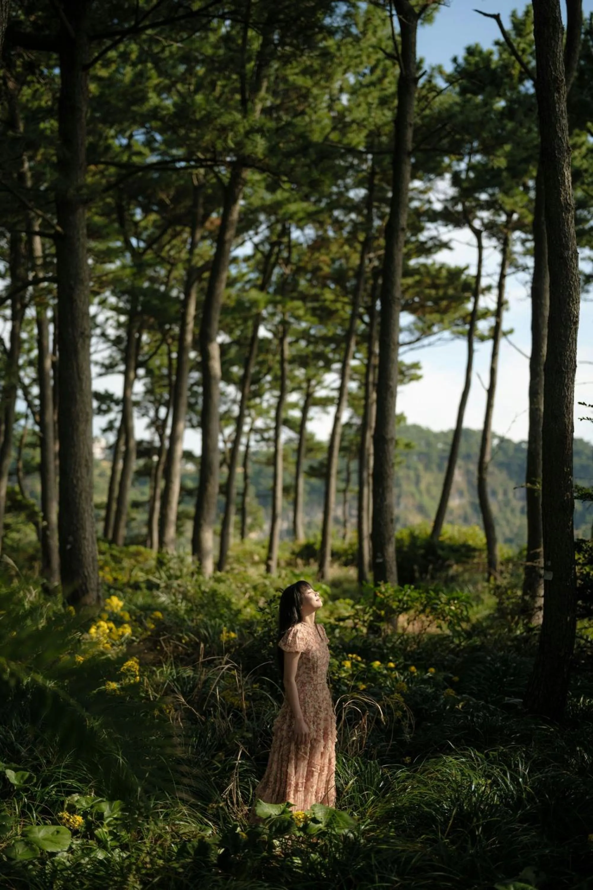 Other in JW Marriott Jeju Resort & Spa