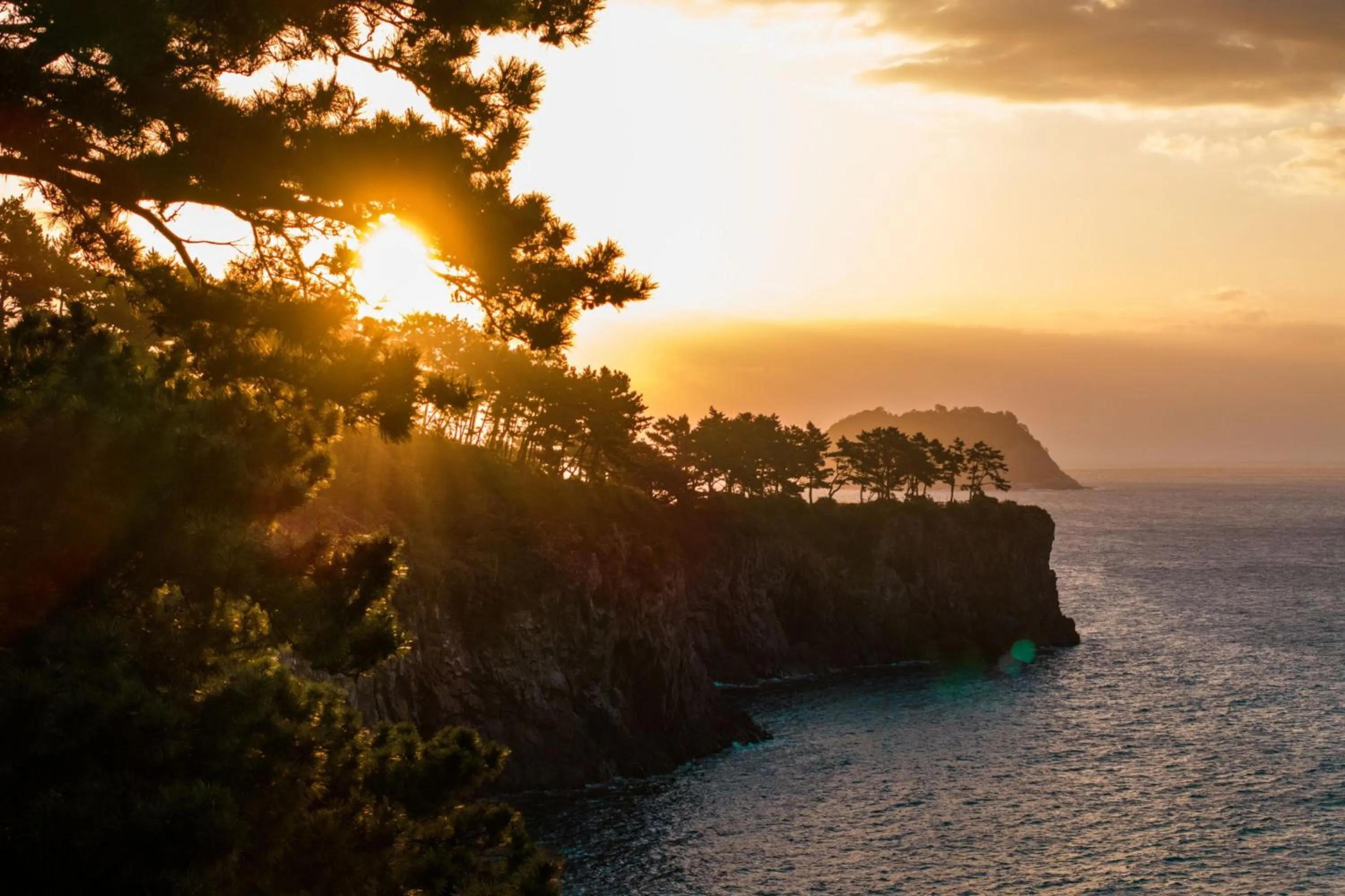 Other in JW Marriott Jeju Resort & Spa