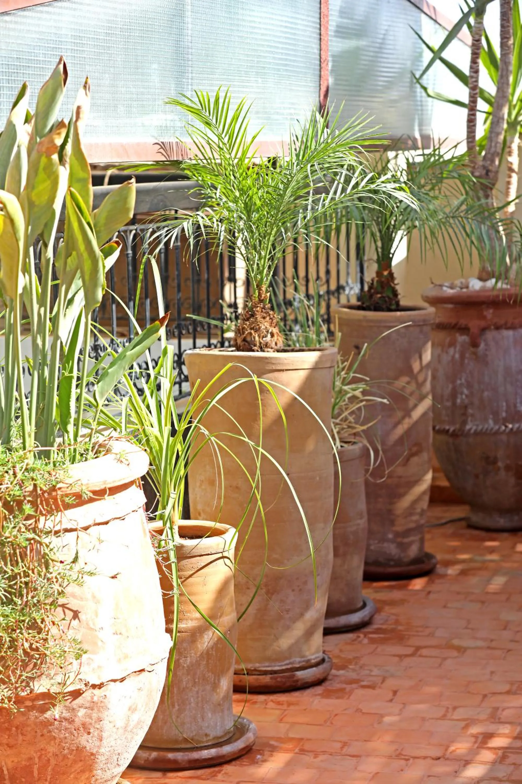 Balcony/Terrace in Riad Dar Beldia and Spa