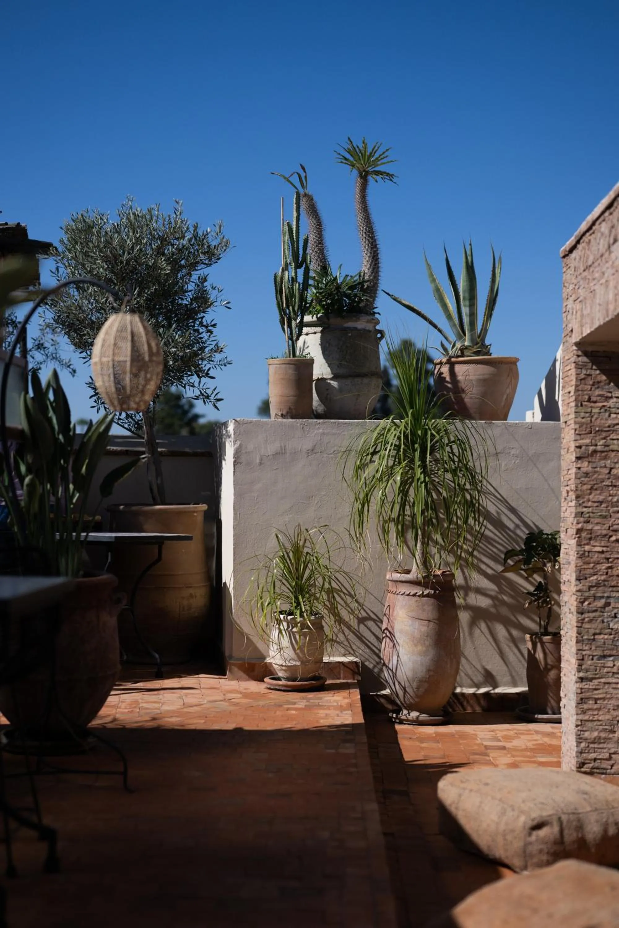 Day in Riad Dar Beldia and Spa