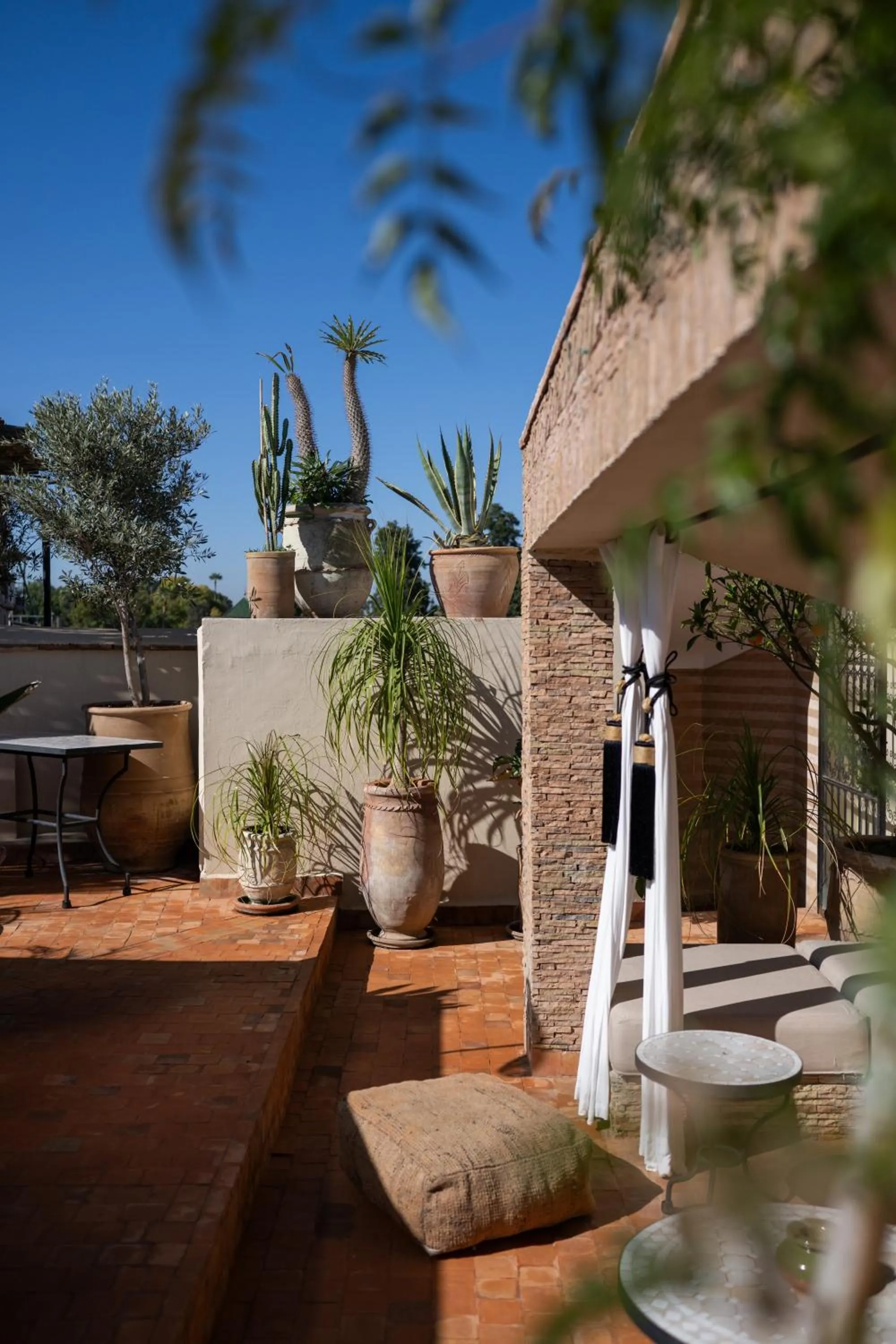 Patio in Riad Dar Beldia and Spa