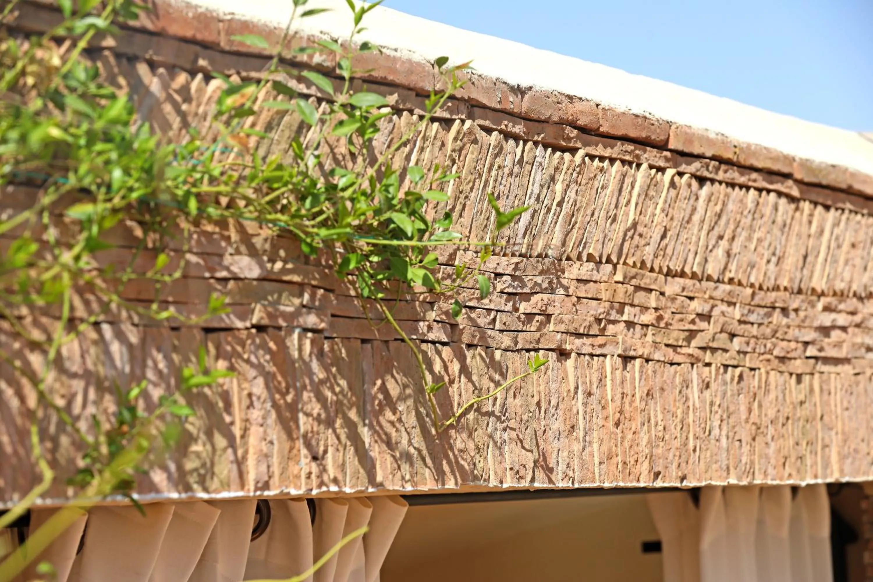 Day in Riad Dar Beldia and Spa