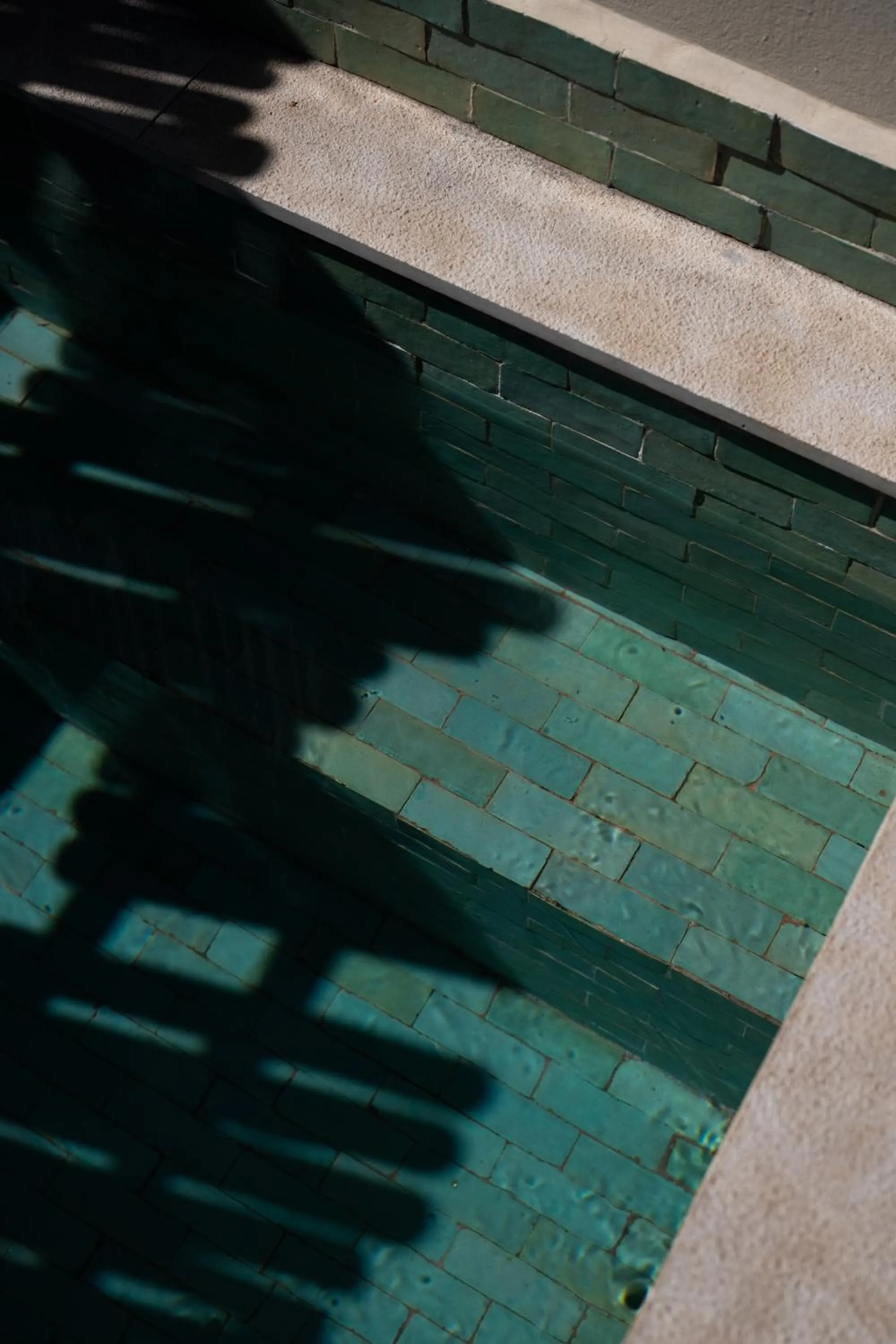 Swimming pool in Riad Dar Beldia and Spa