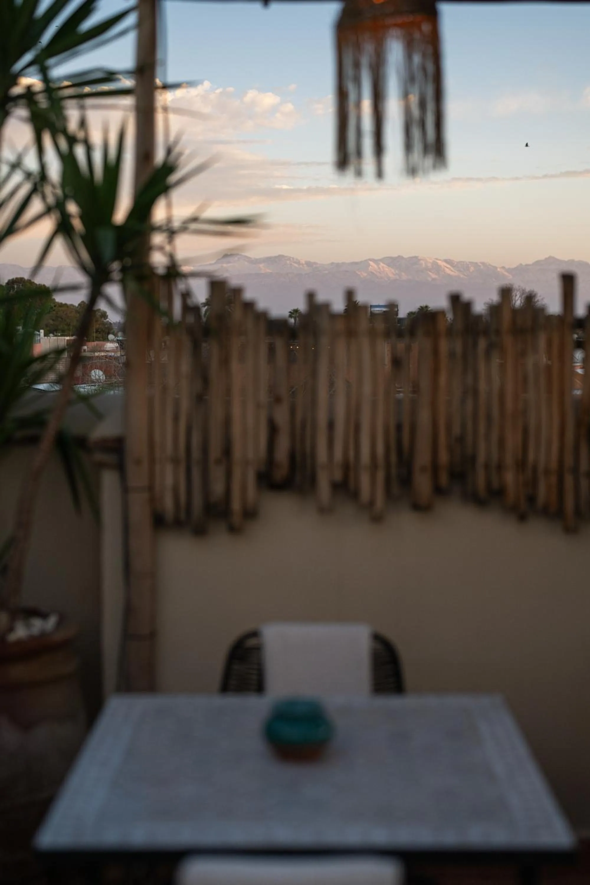 Patio in Riad Dar Beldia and Spa