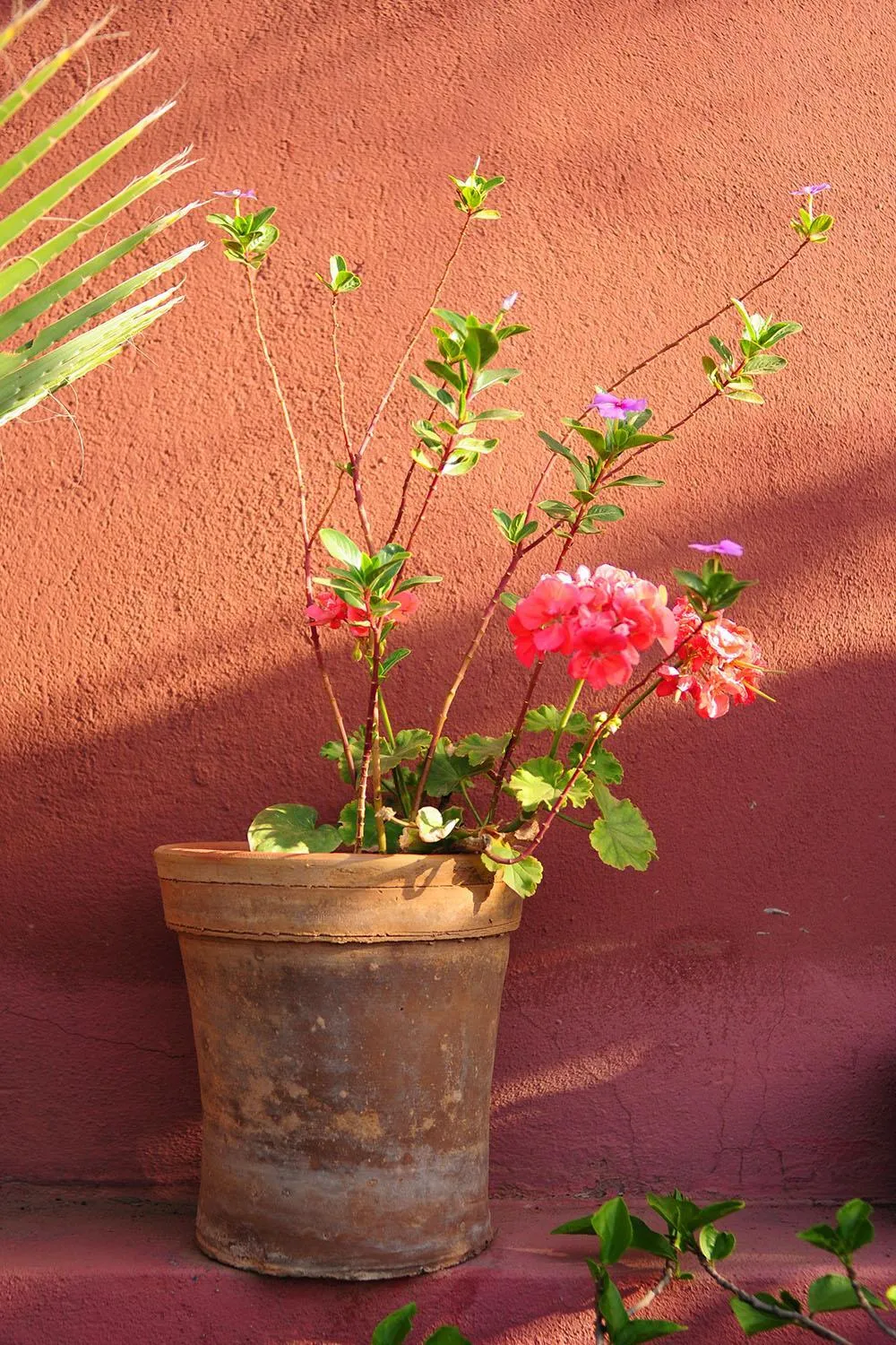 Balcony/Terrace in Riad Al Mamoune
