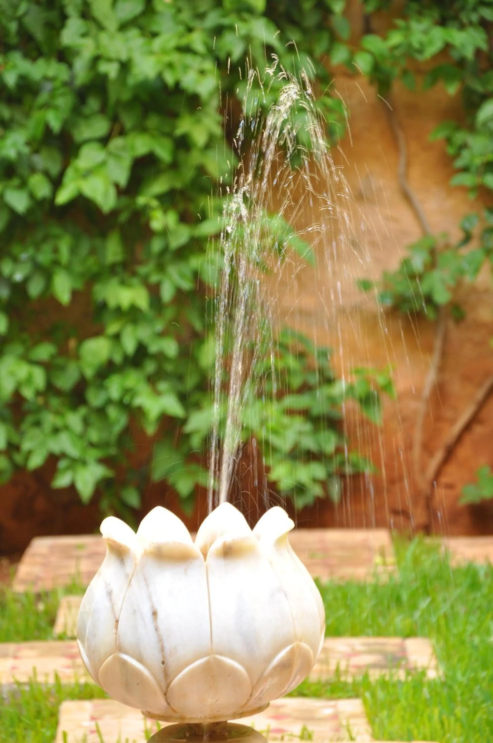 Garden in Riad Au 20 Jasmins