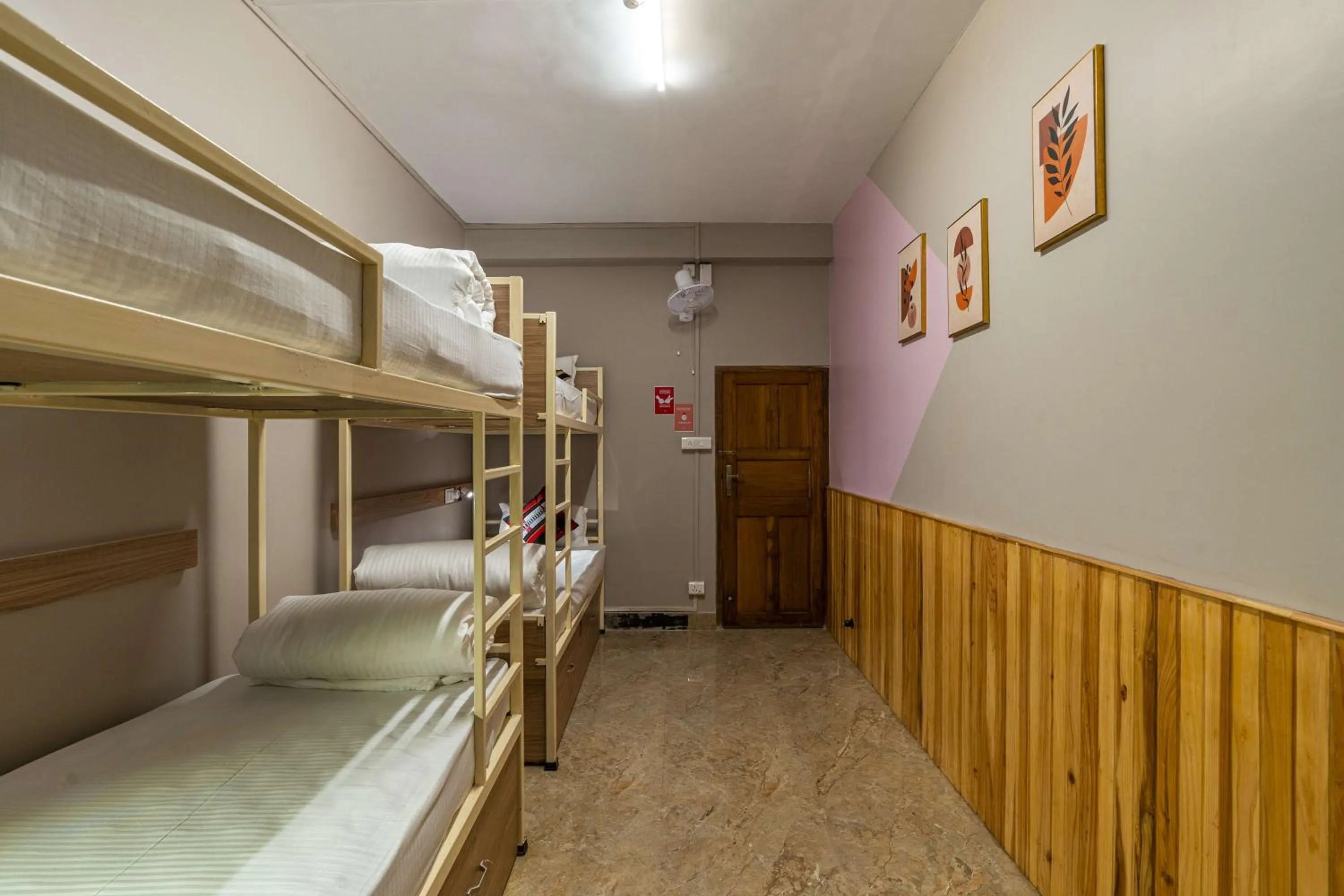 bunk bed, Bed in Zostel Shillong