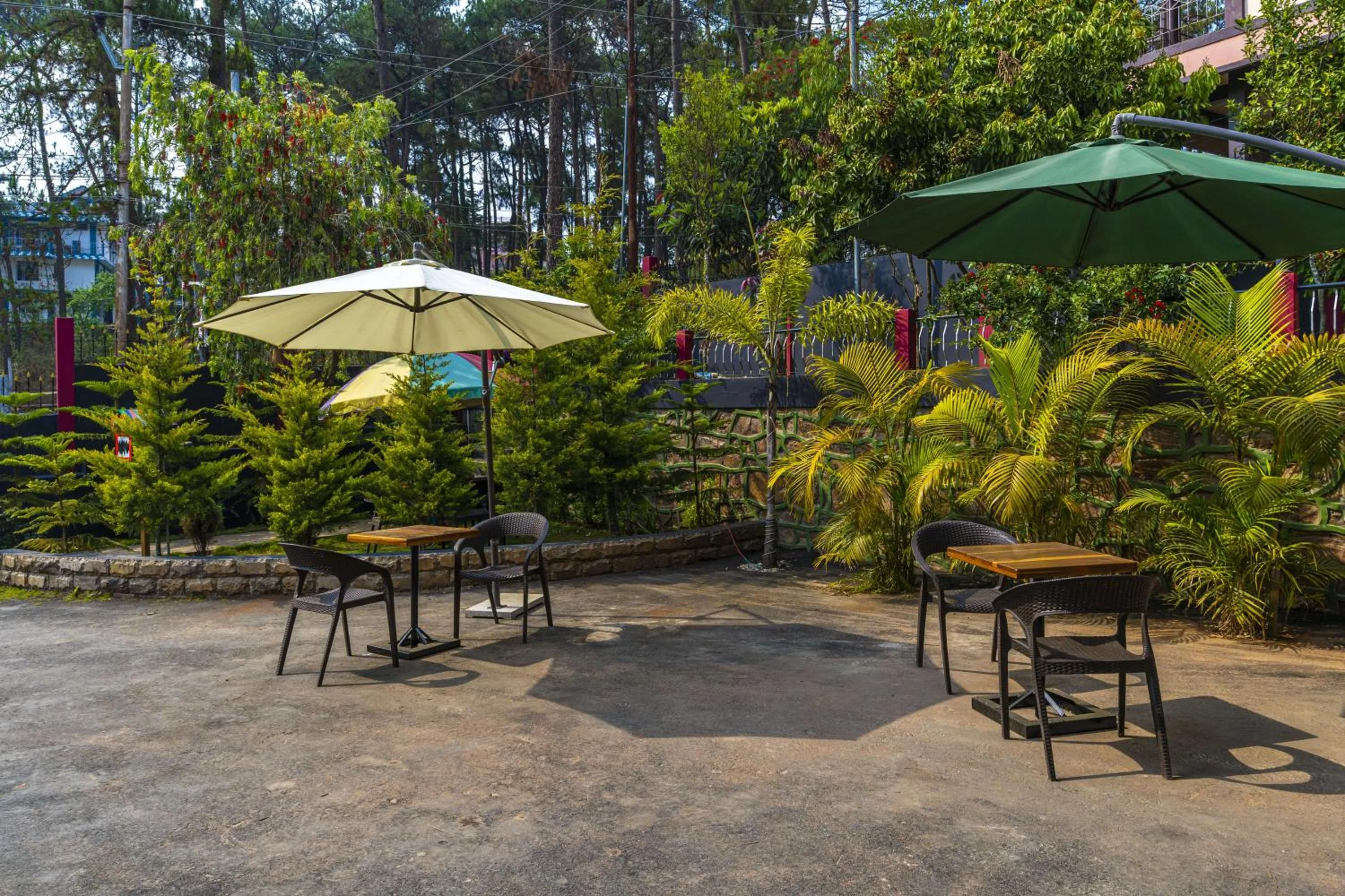 Garden in Zostel Shillong