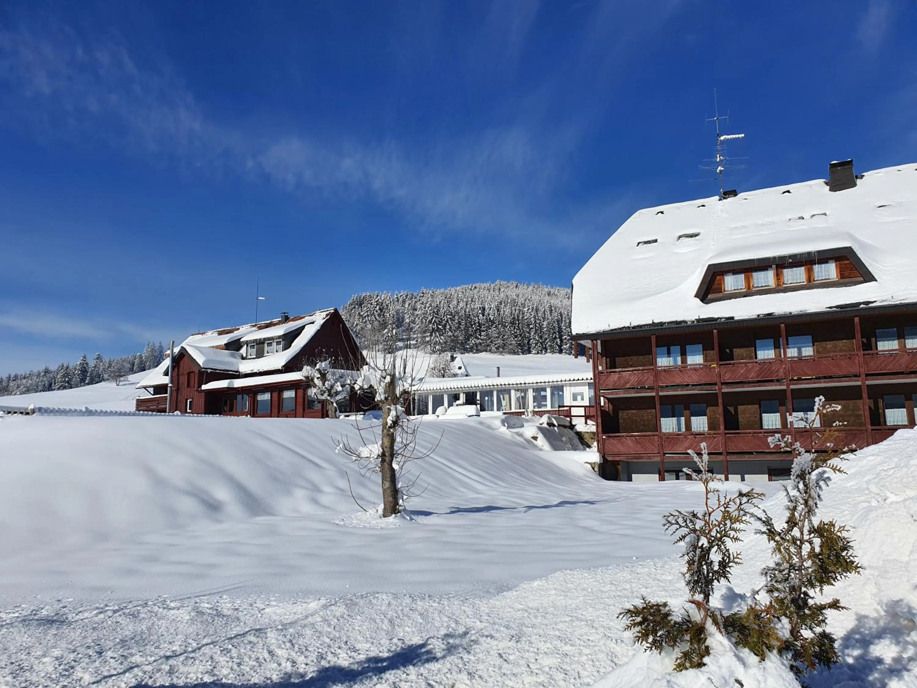 Property building in B und B Titisee Hotel Sonnenmatte nahe Badeparadies