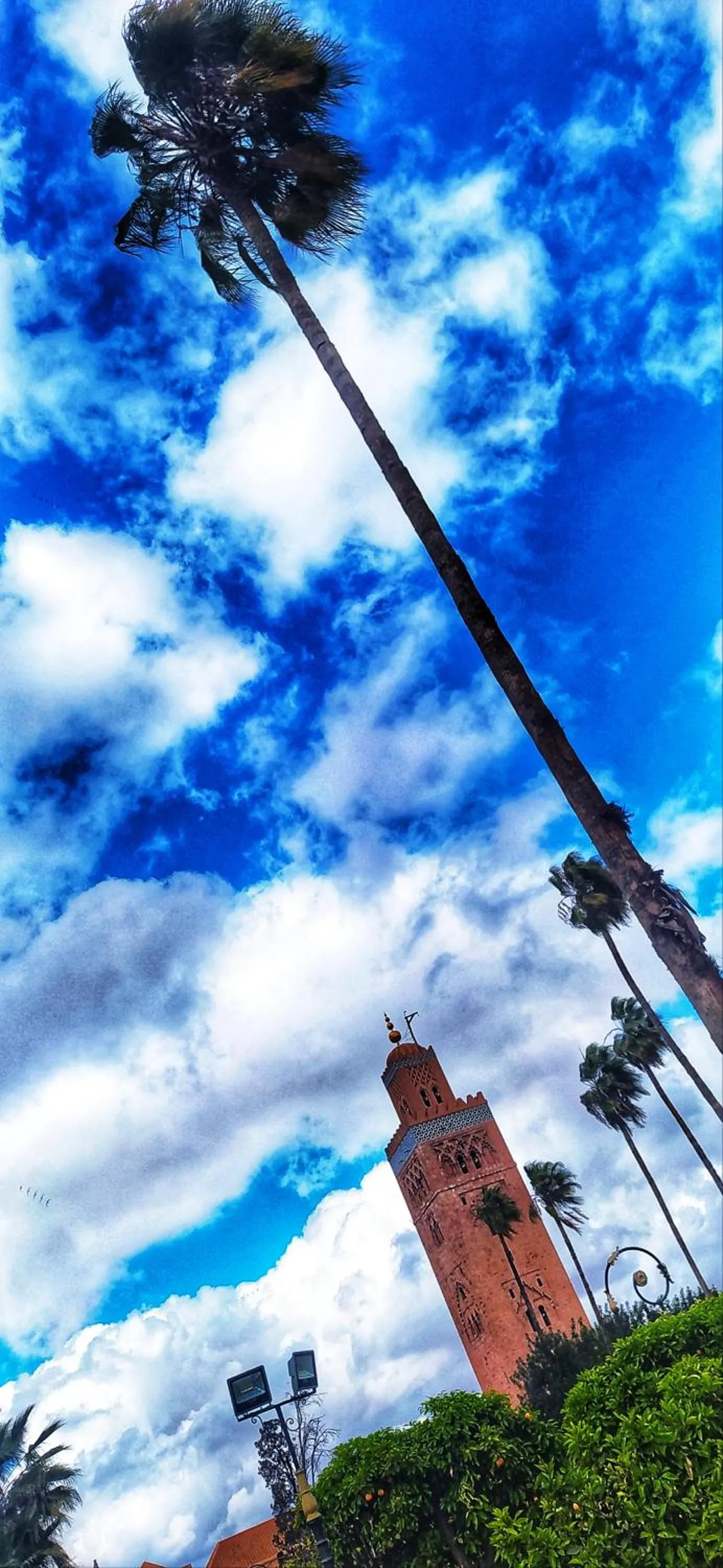 Natural landscape in Riad Zinoun & Spa 11 Rooms