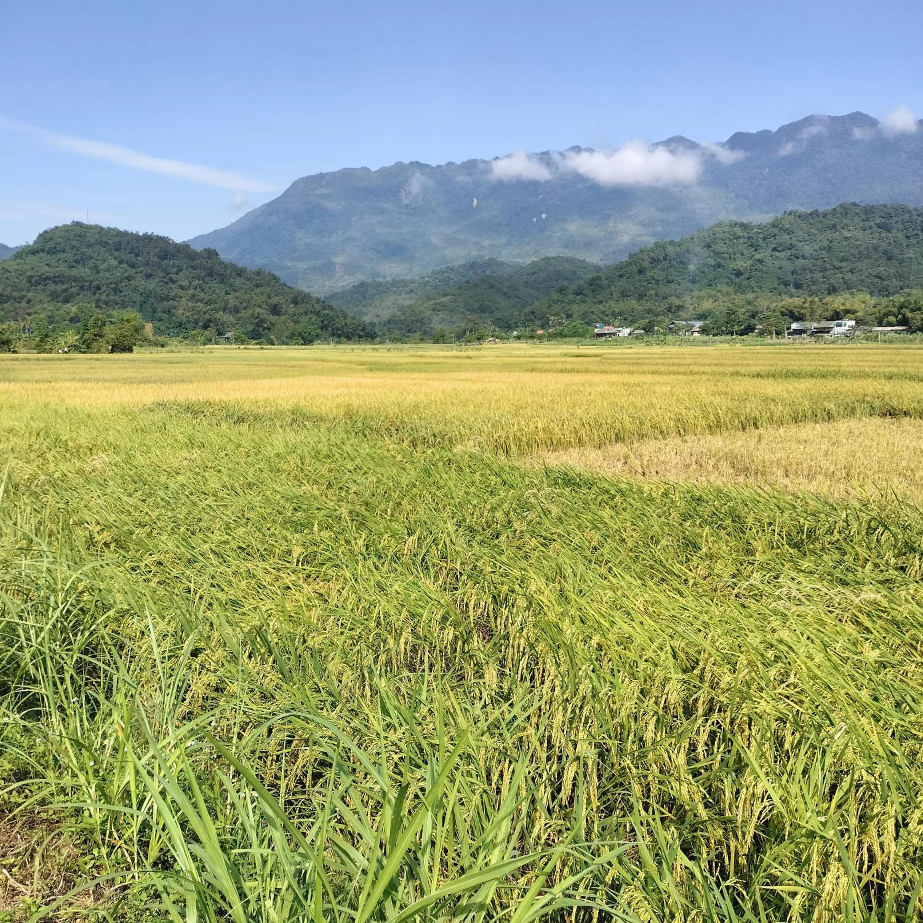 Duong Thim Homestay Mai Chau