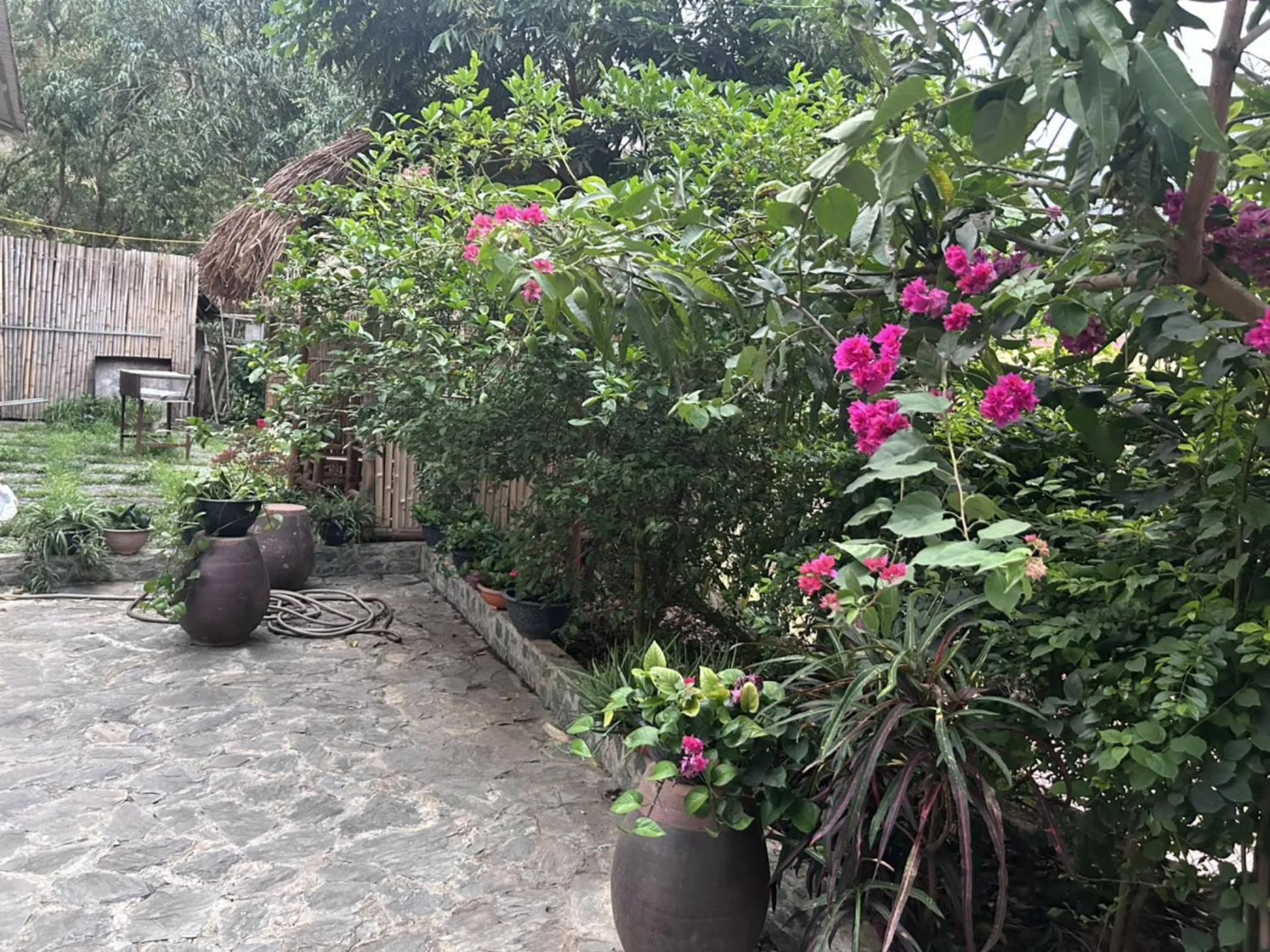 Garden in Duong Thim Homestay Mai Chau